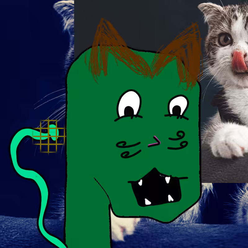 hi CAT lucas #13