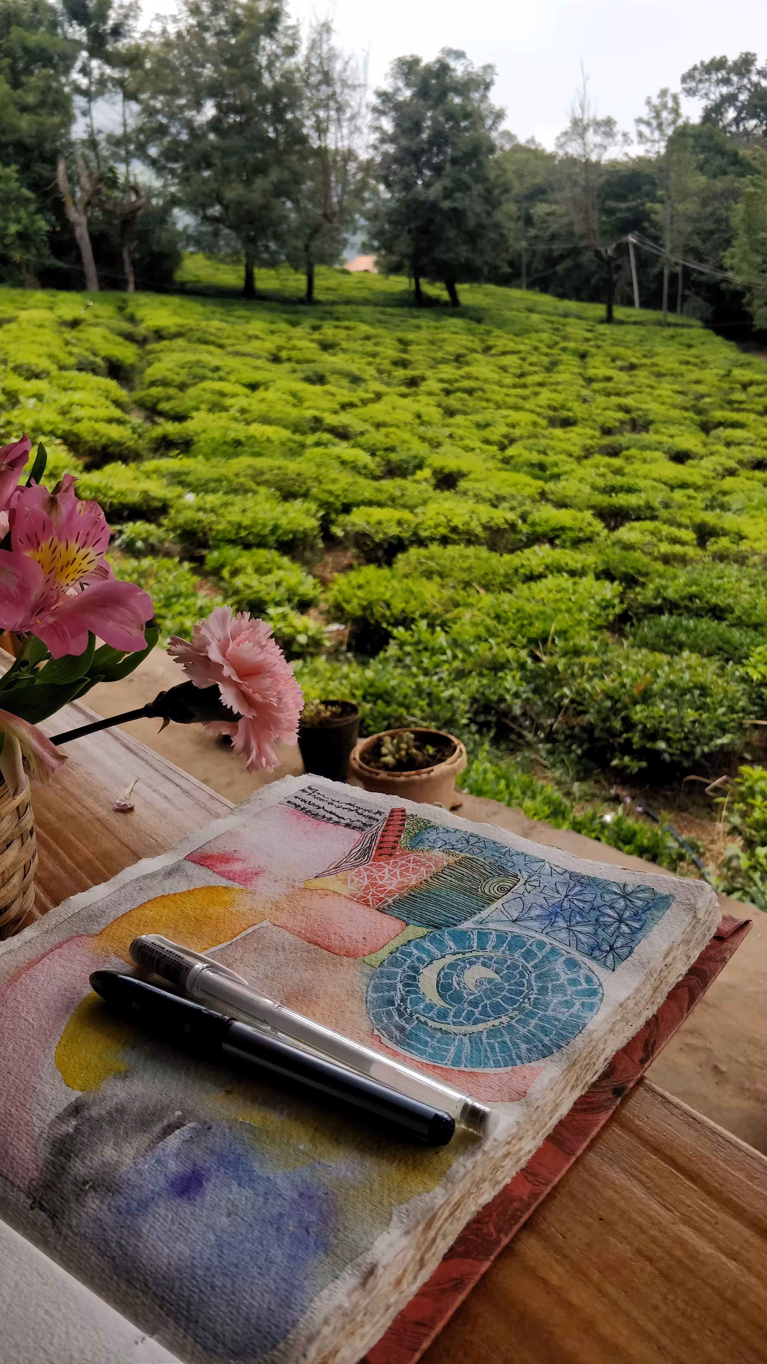 Tea Gardens & Watercolors