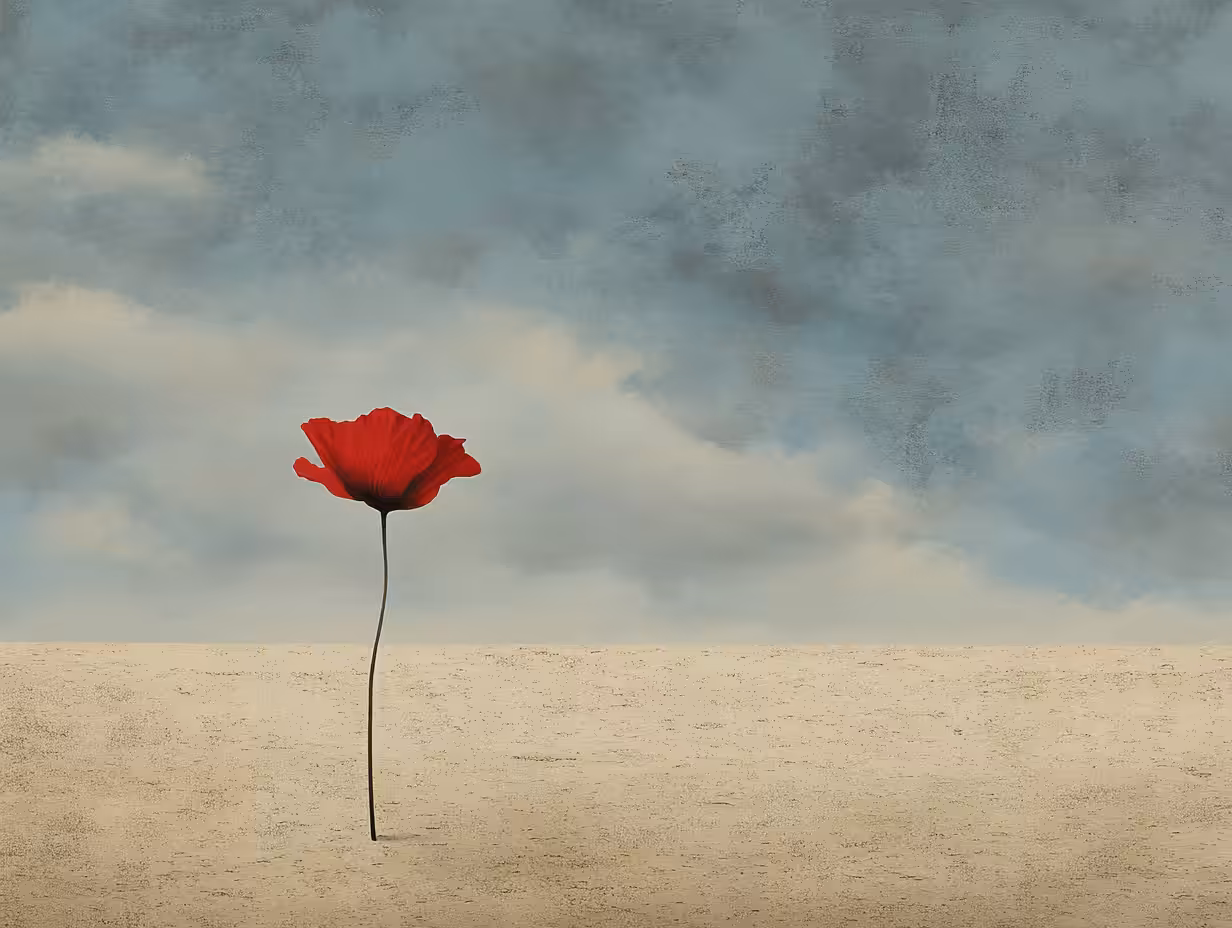 11.11.24