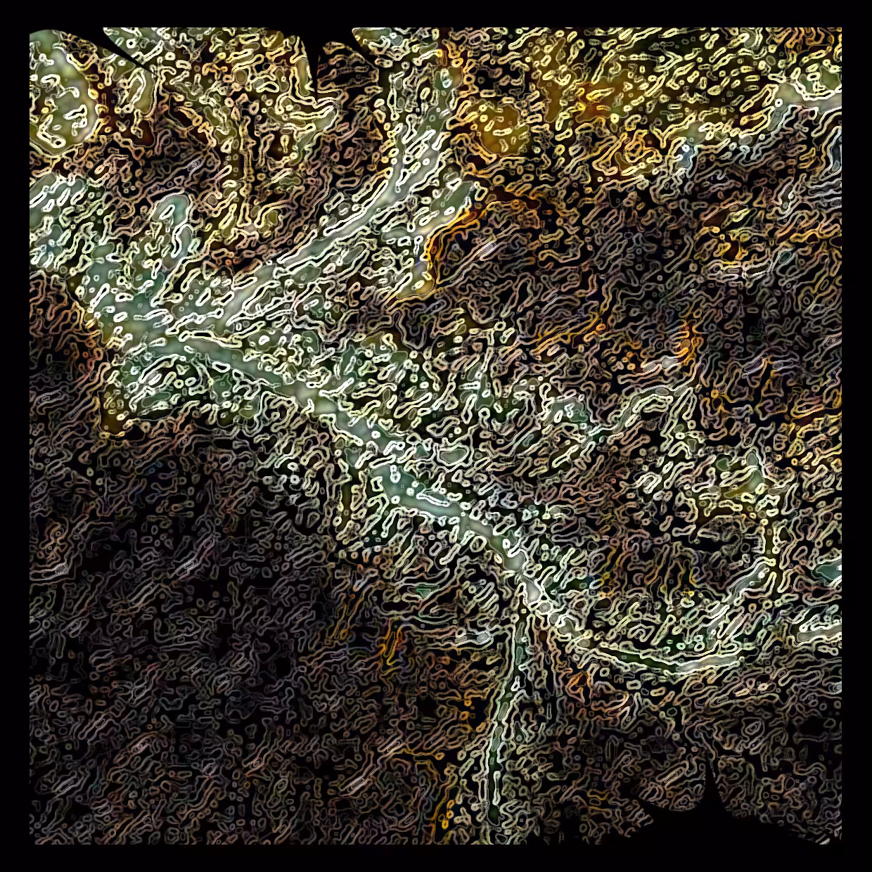 Cell 27