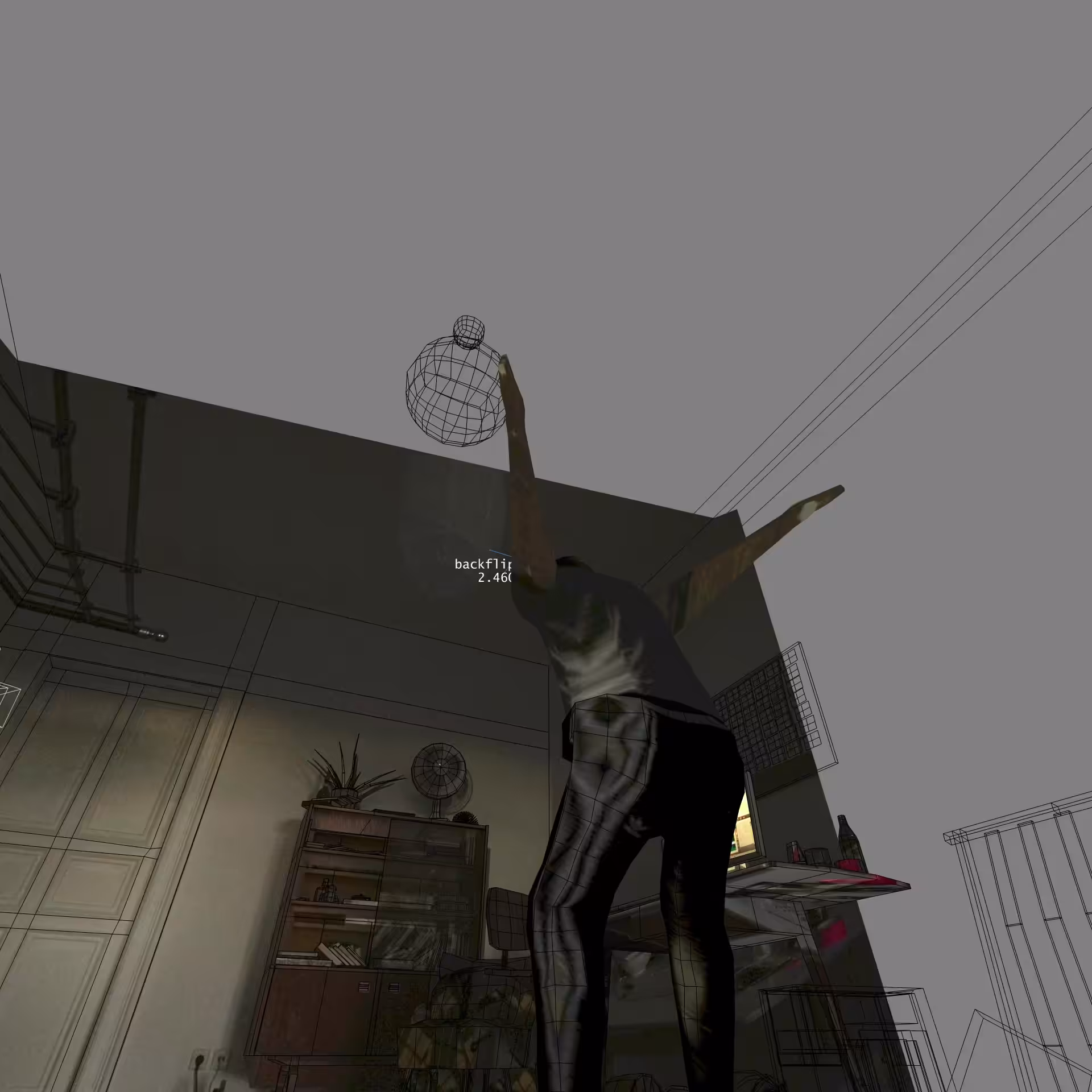 backflip_2460