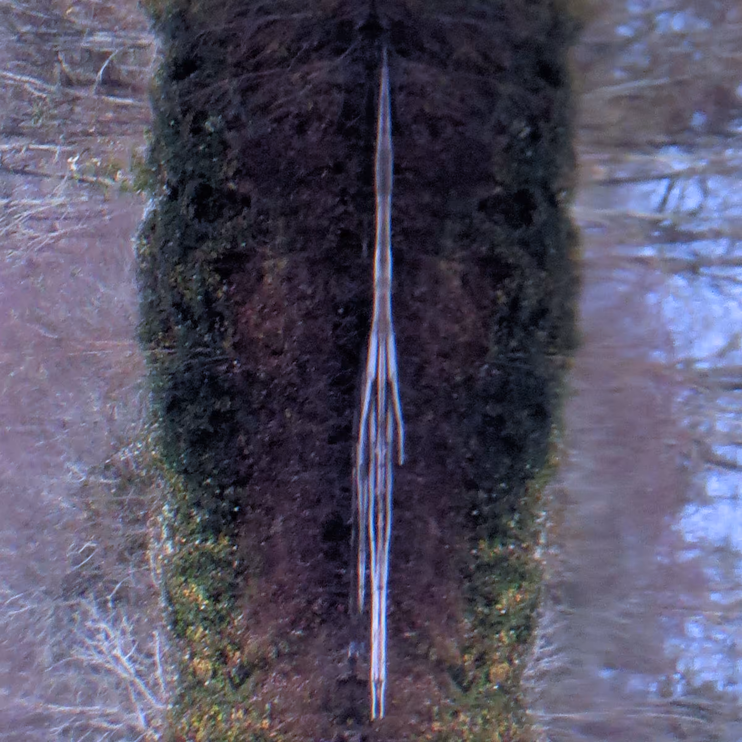 Reflection #4