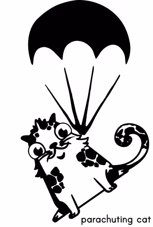 parachuting cat 4/10