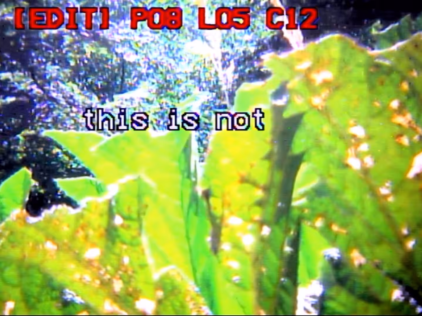 this is not a prompt #65