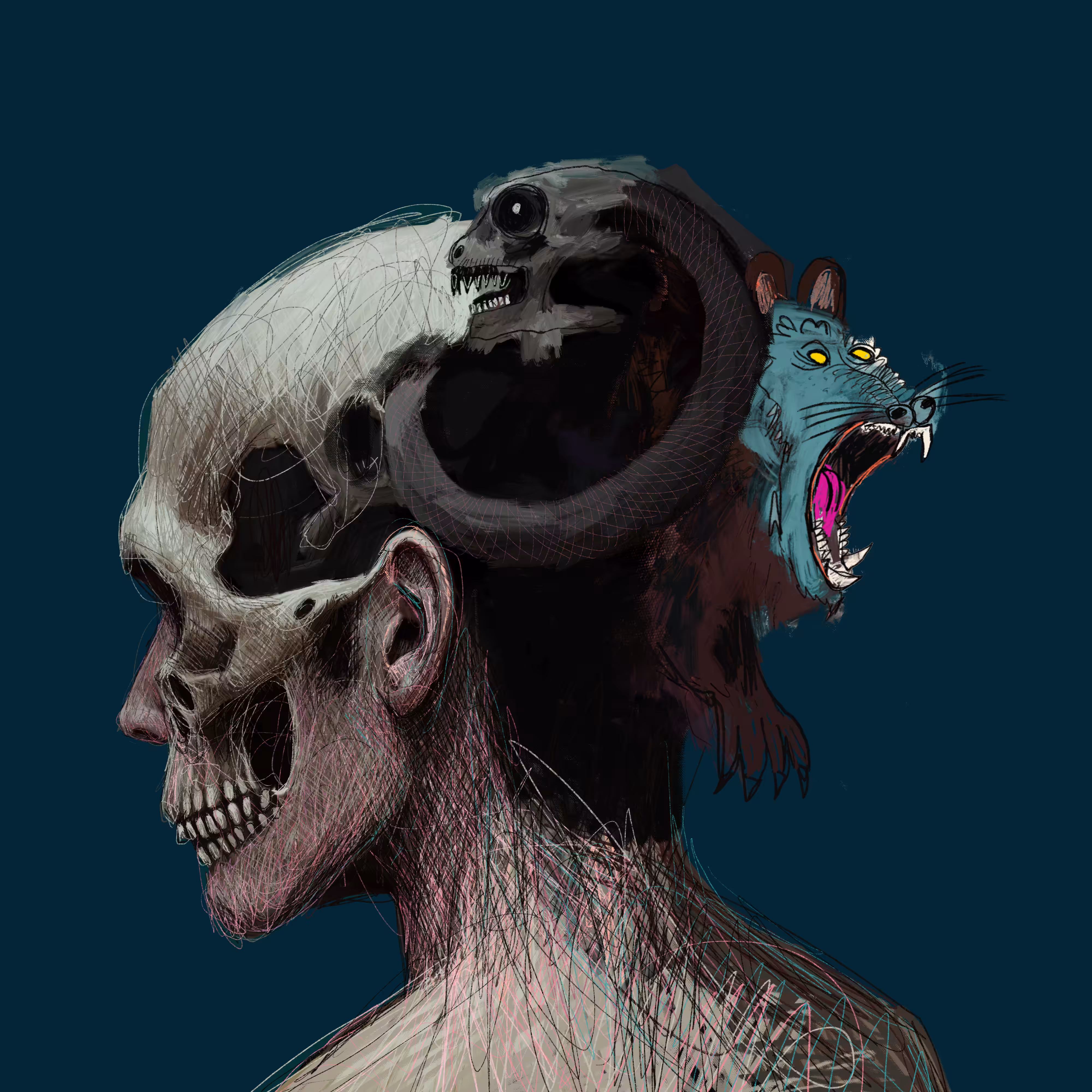 #148 Snake and baboon