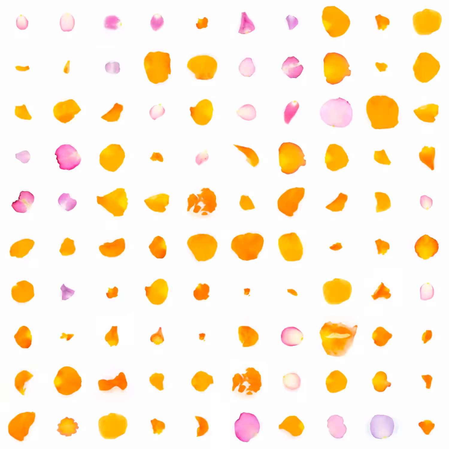 Infinite Petals 10x10#2153