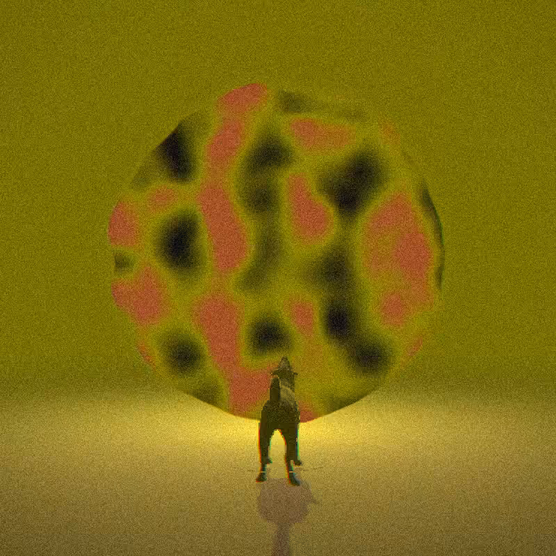 PORTALS #36