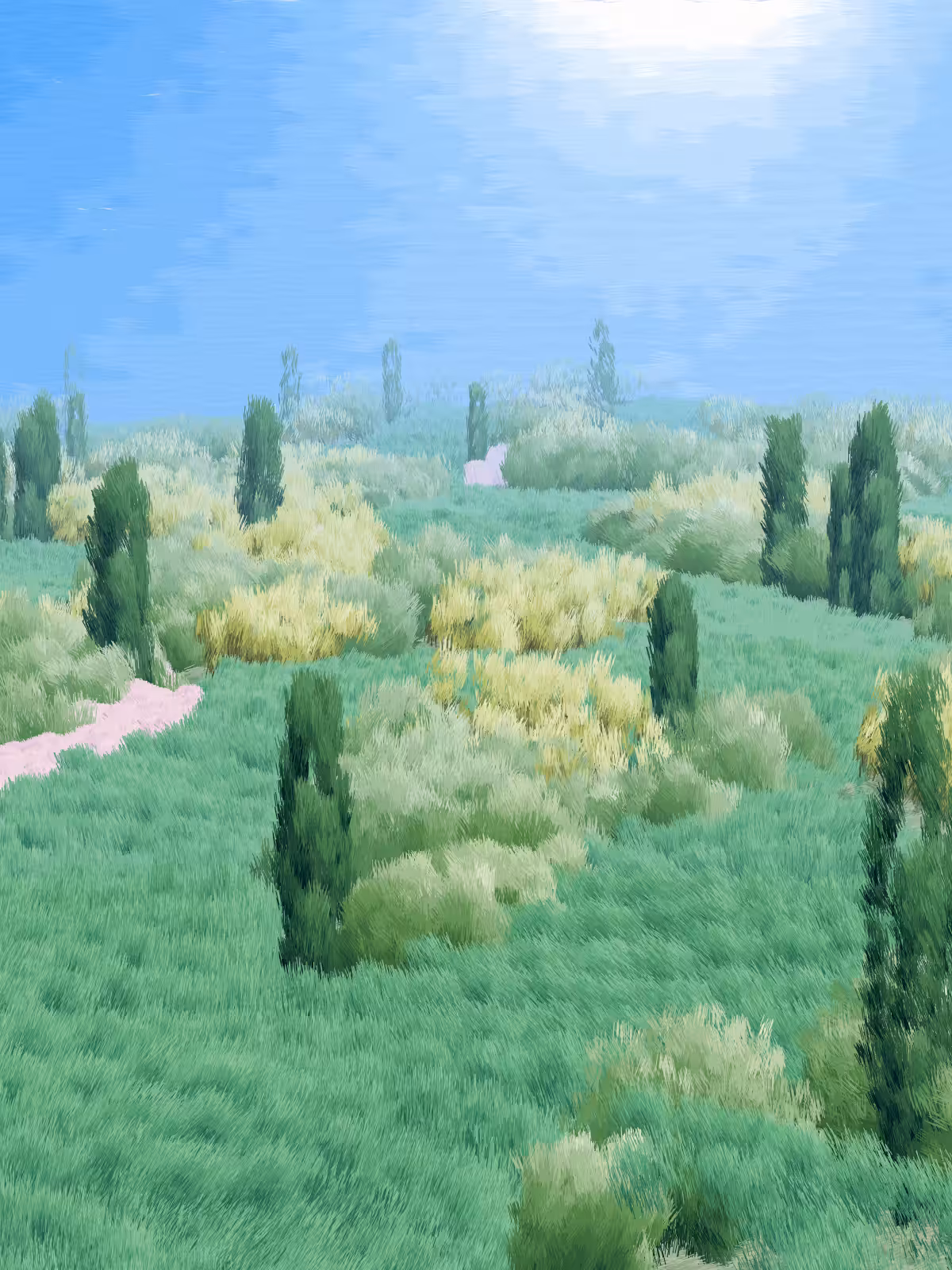 Provence #155