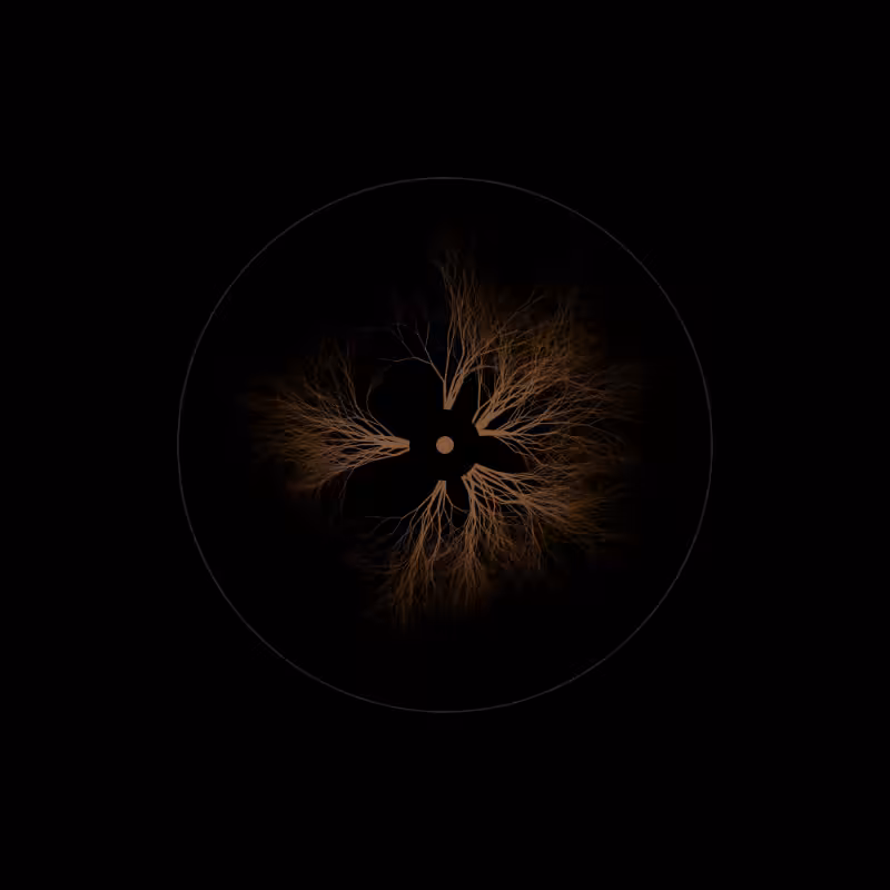 EYE #16