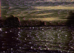 _lost_lands: _c a t h e d r a l s