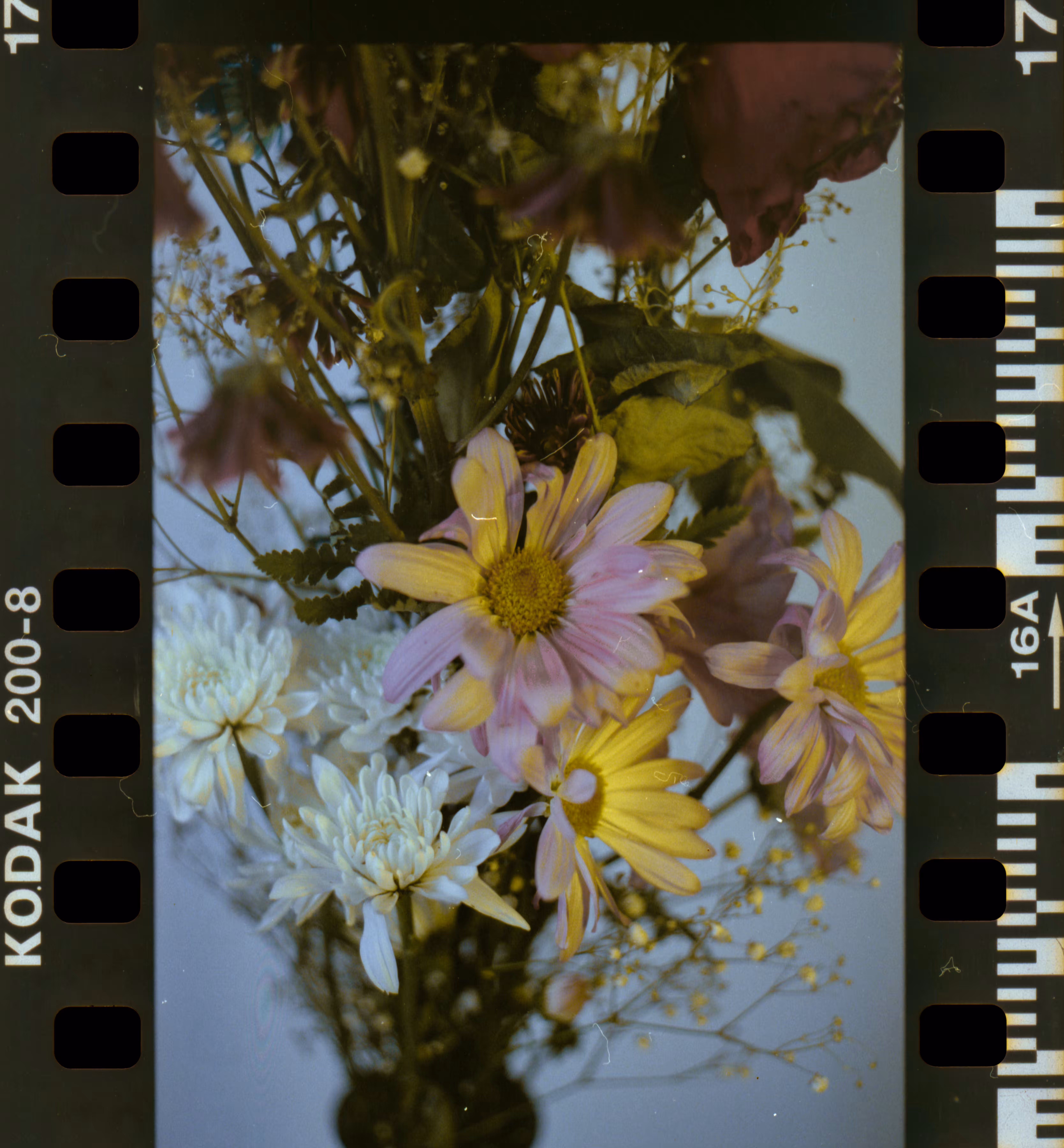 Color + Frame 17