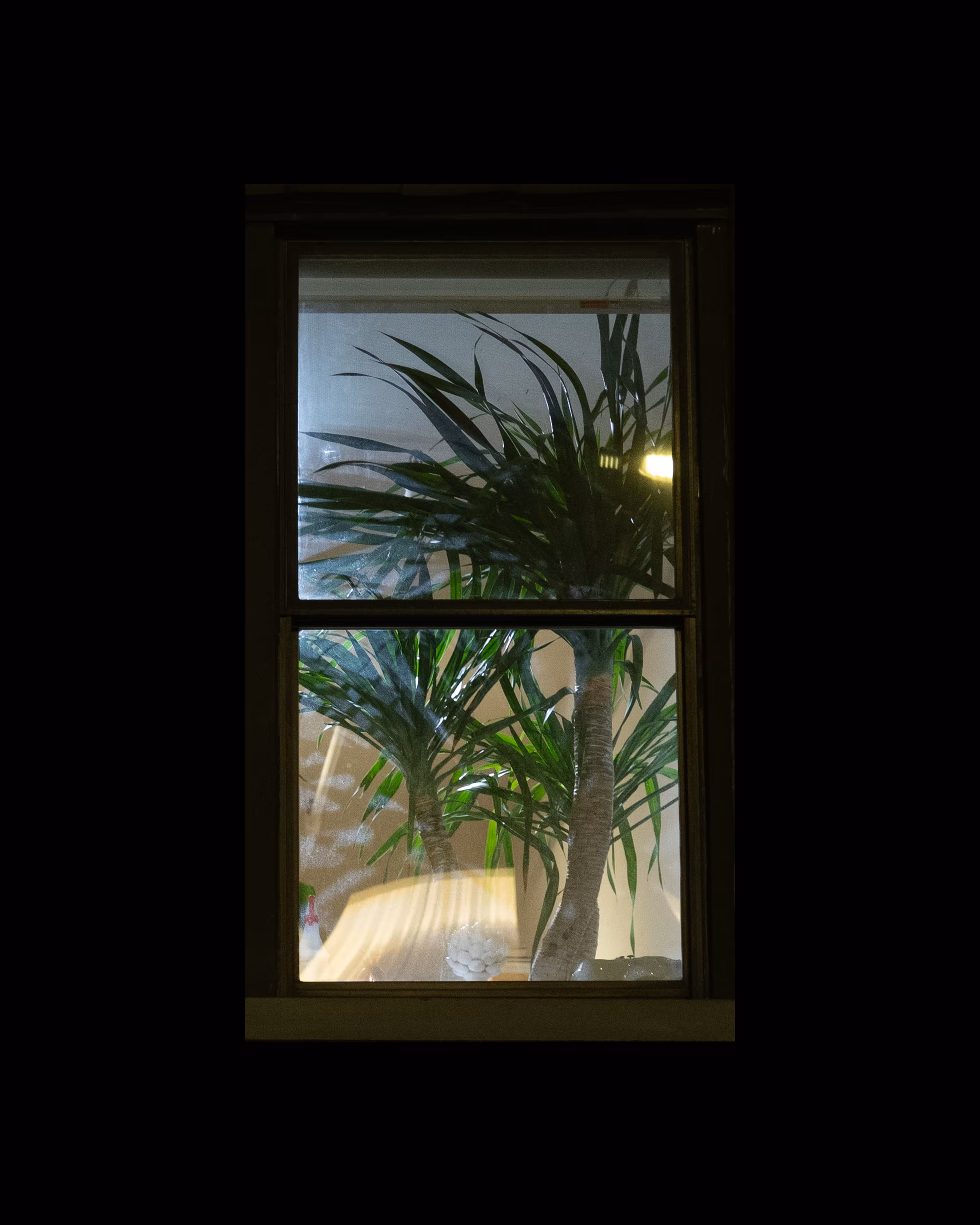 WINDOWS // NYC: WINDOW 819