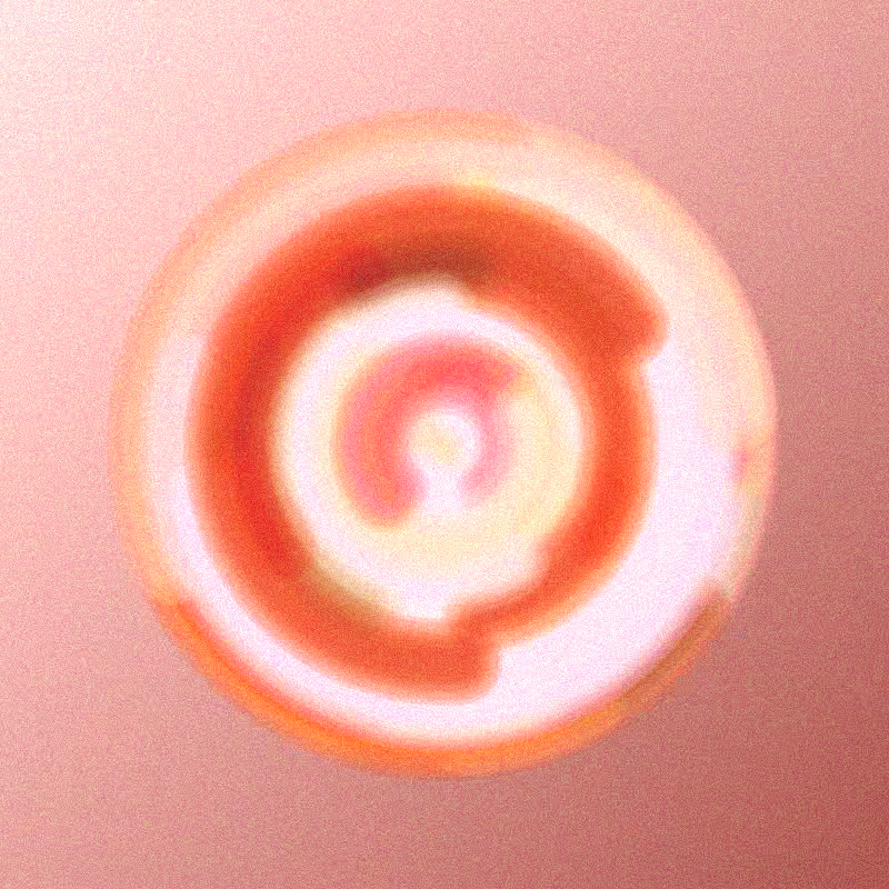 Wisp #312