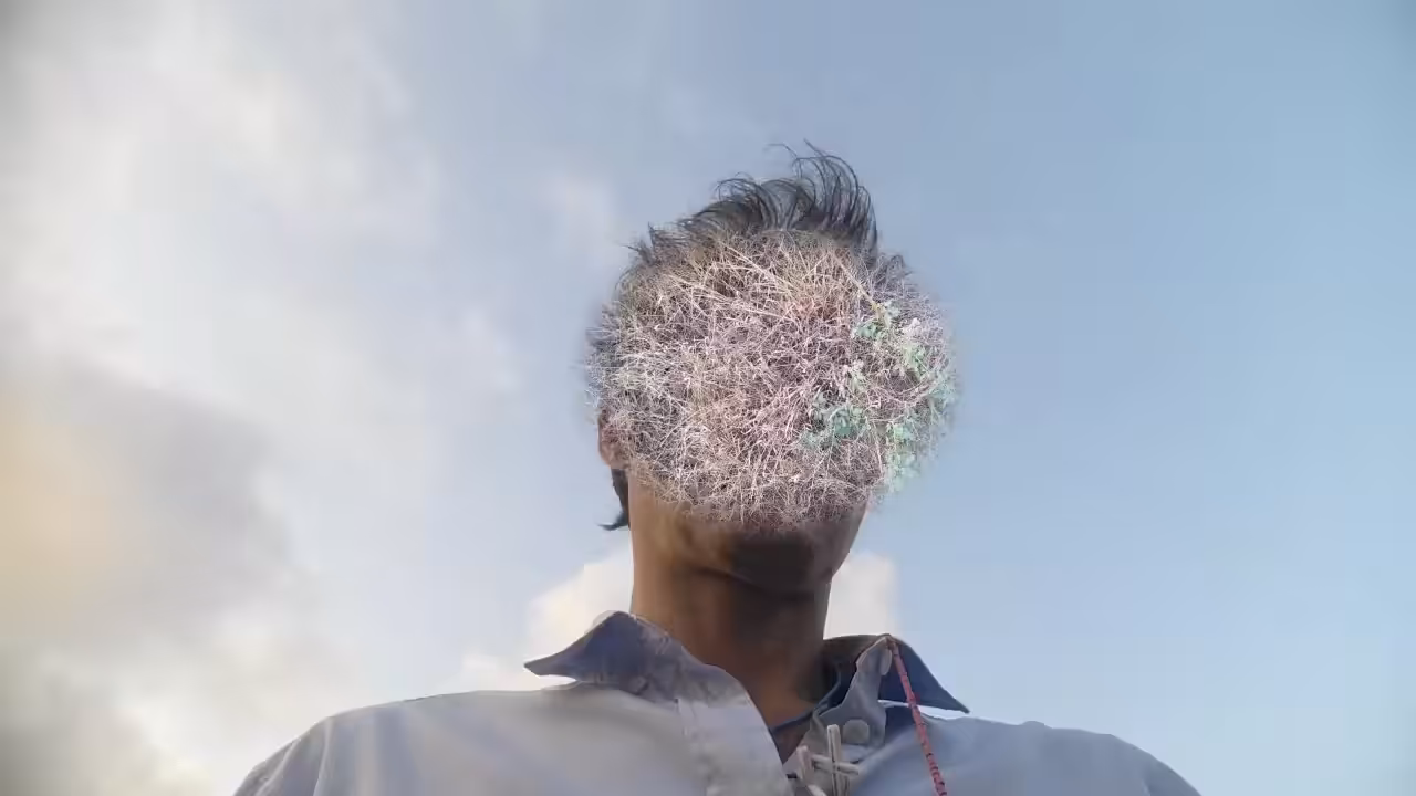 Manetas Avatar (Walking with Screens) #1, 2015