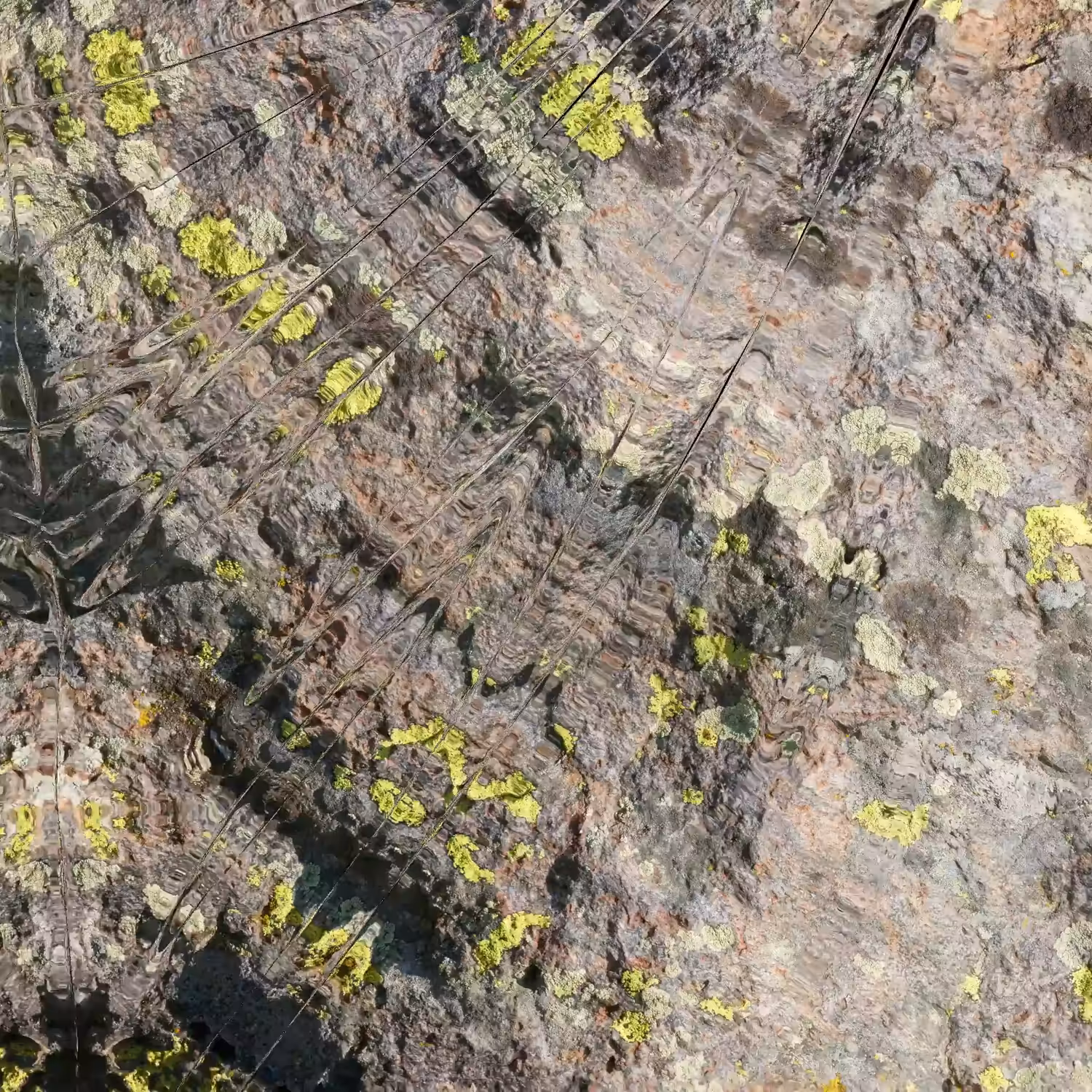 Textilographic Rock and Lichen, Yellowstone, #13