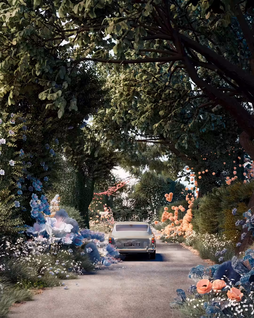 Let's Take a Drive