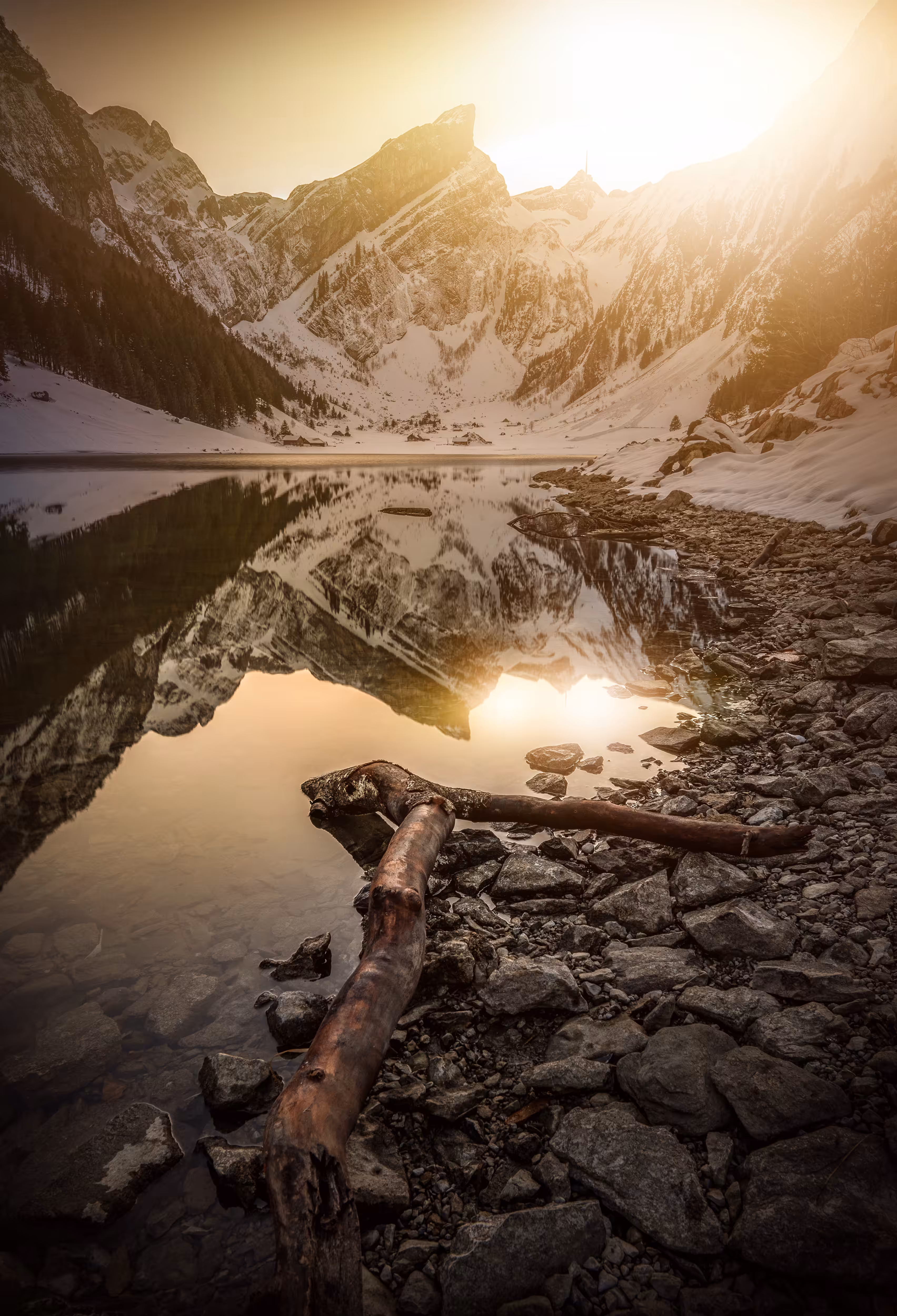 Alpine Lights - Voices #21