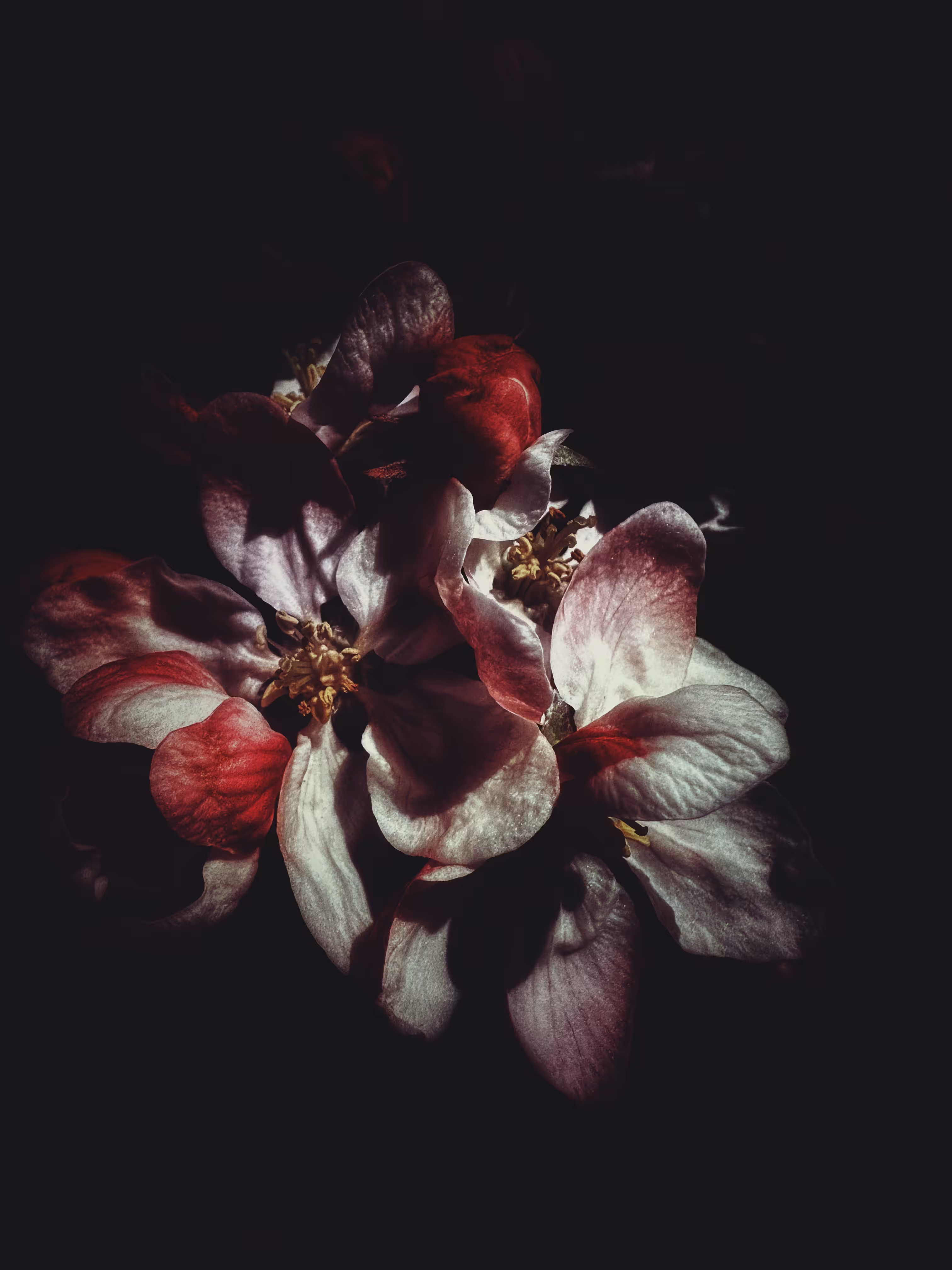 Crinkled Light