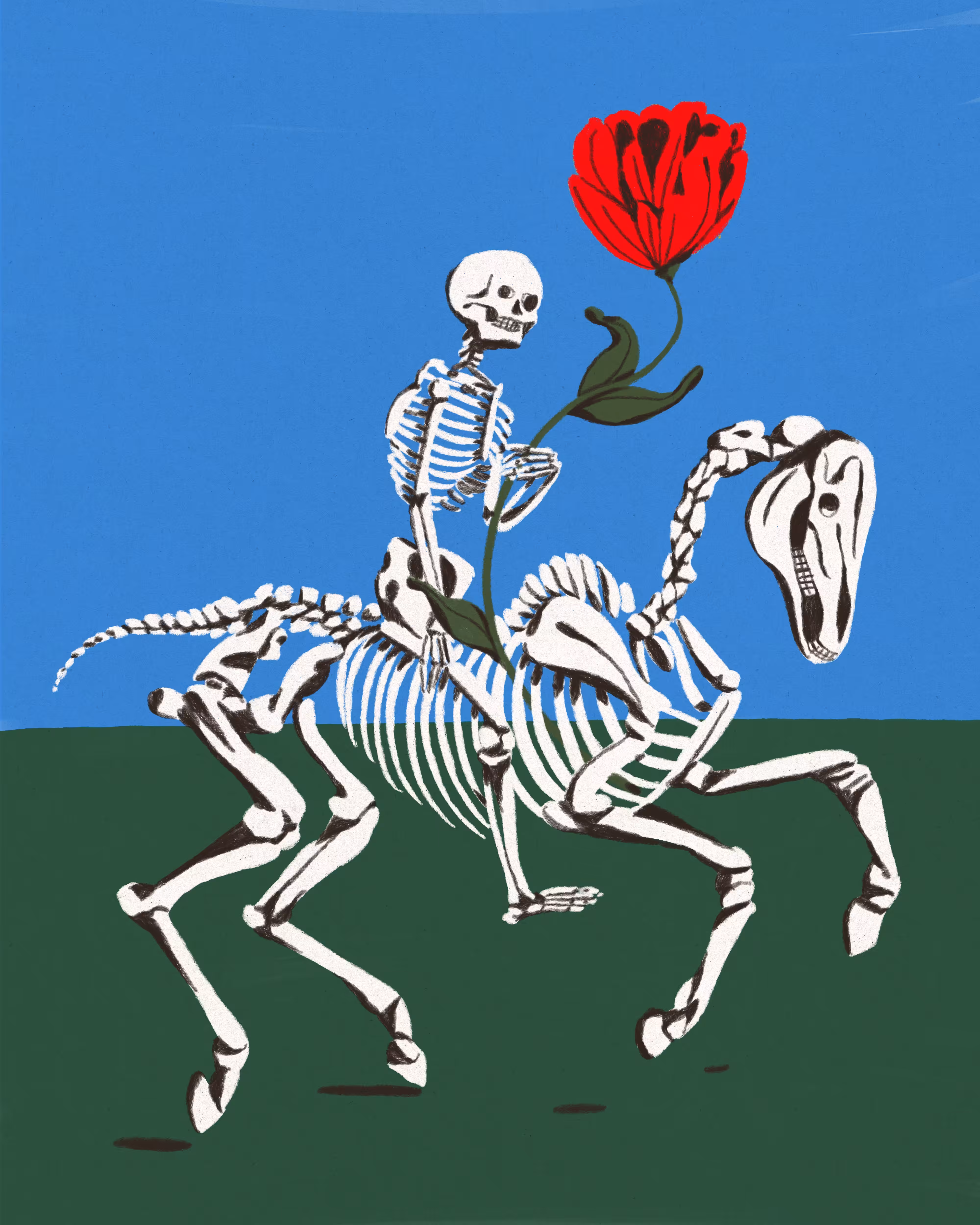 Enjoy the Ride