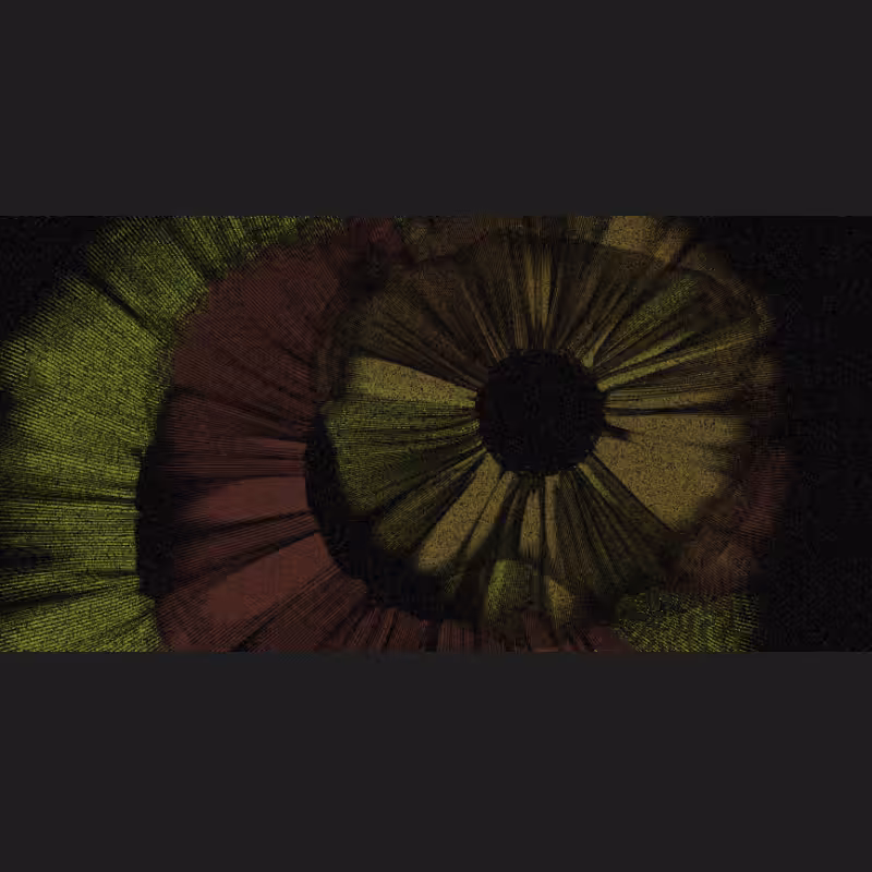 Chameleon #39
