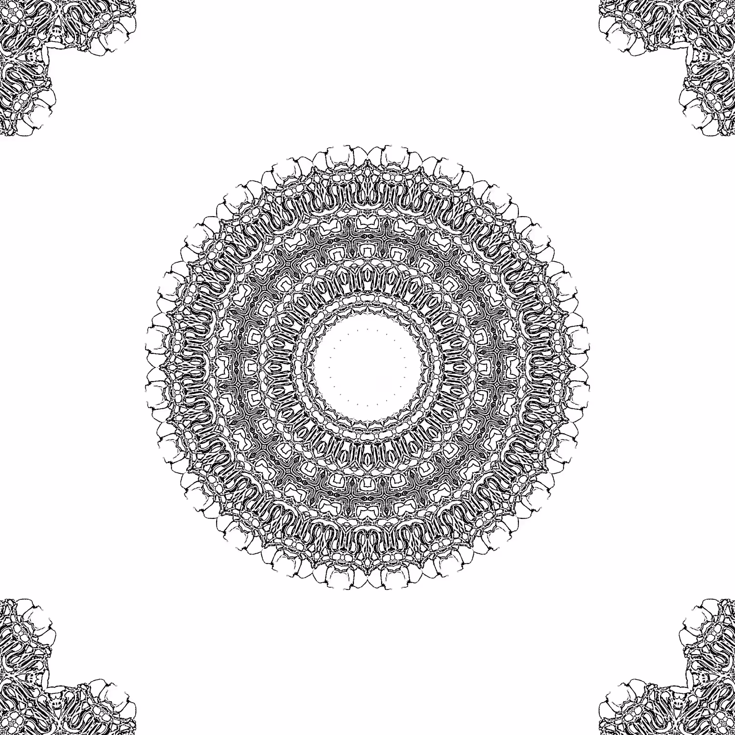 orbital warp 39