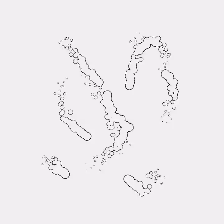 DoodleDeProgramming_20240225