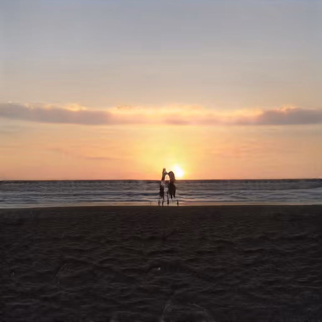 Sun Block #16 Sunset Date