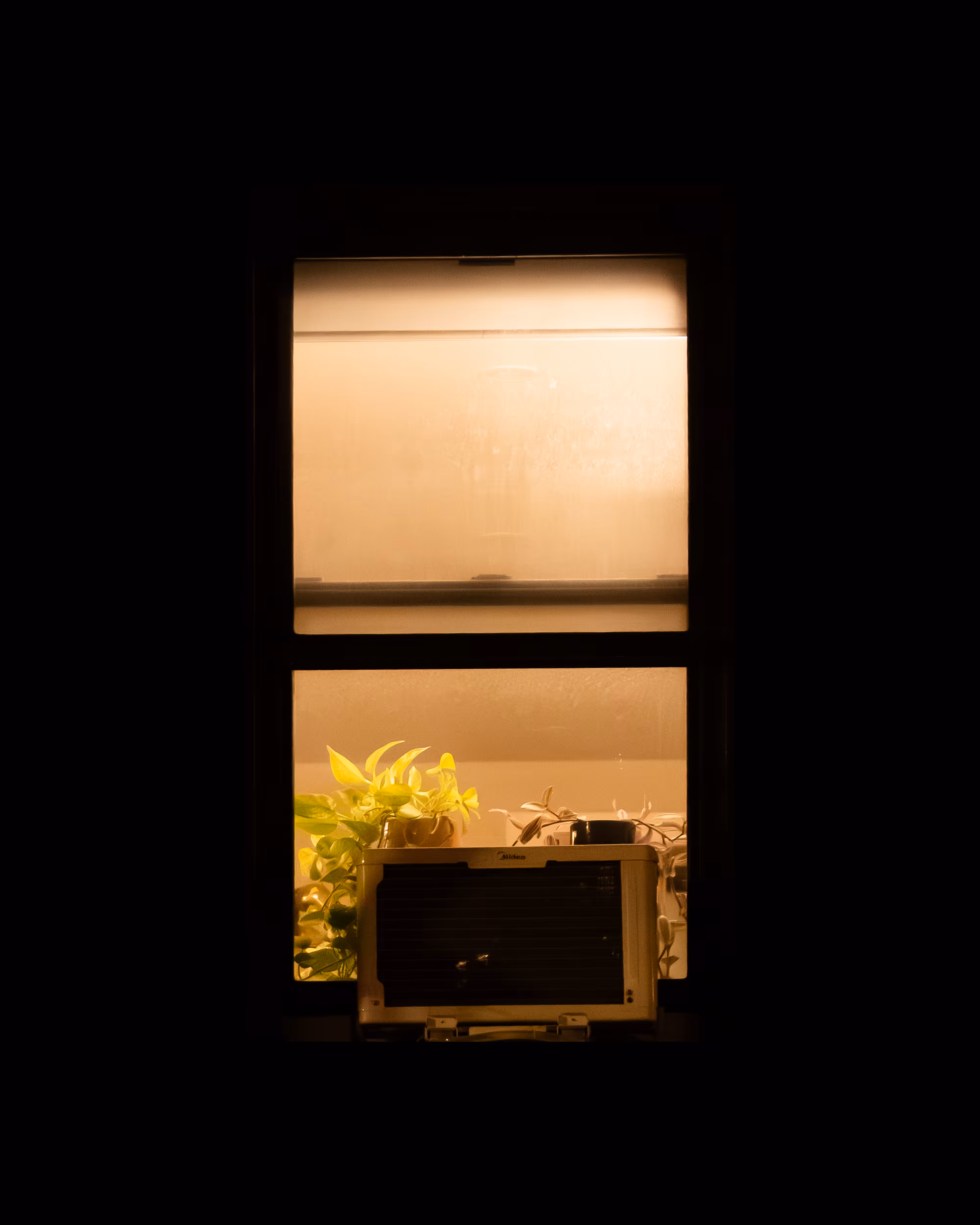 WINDOW 116