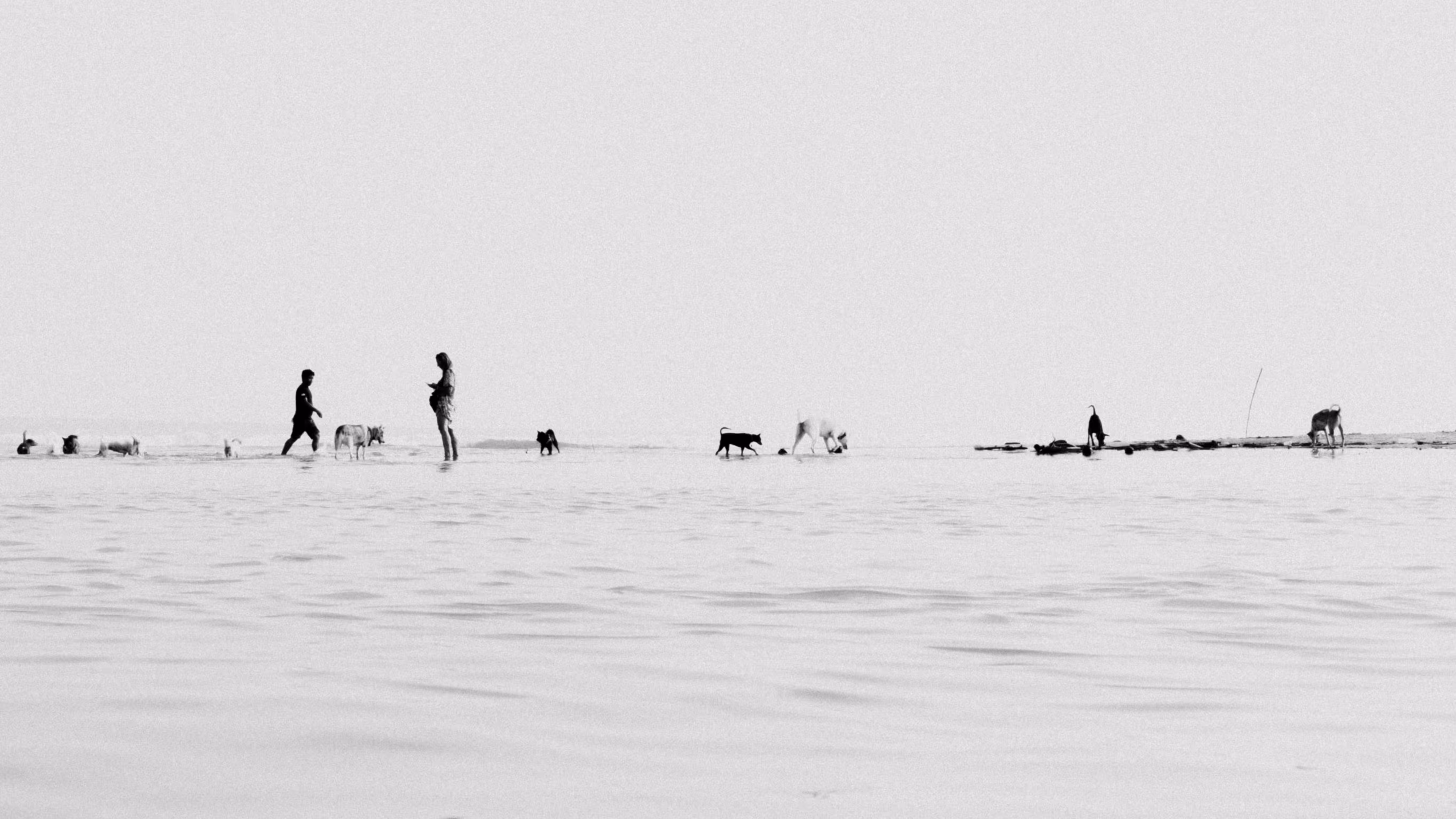 Searching