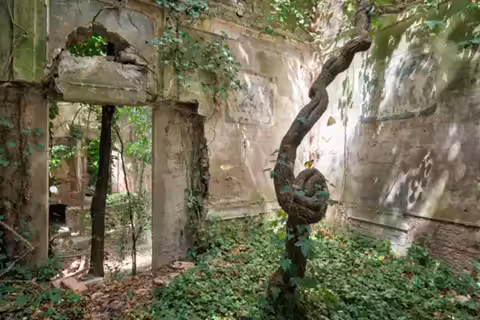 Jungle Villa part II