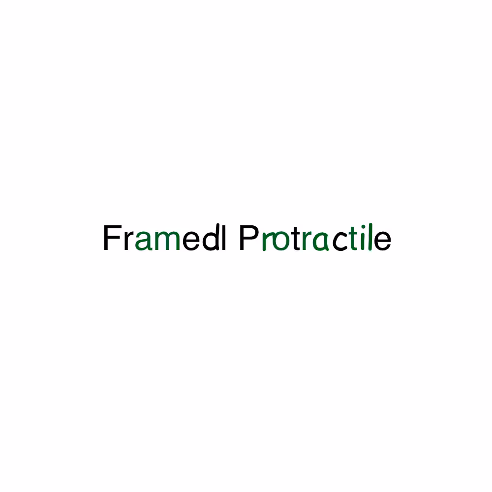 FP x FP #37