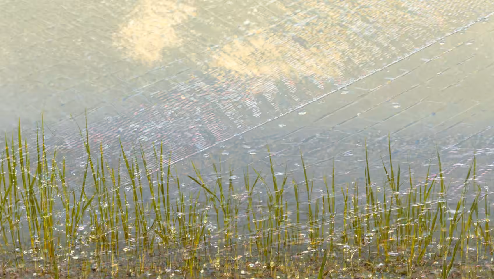 Spring impressionism (1)