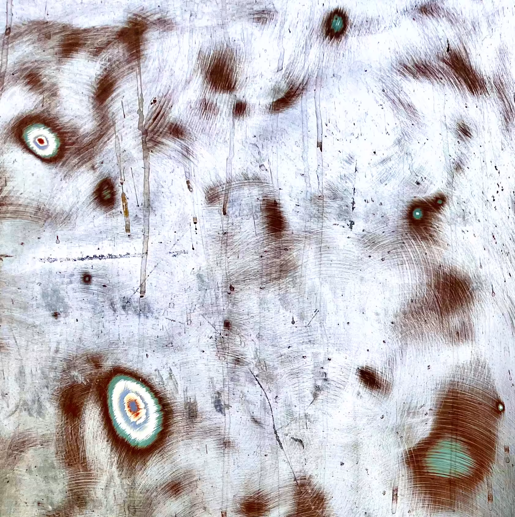 Amoebas