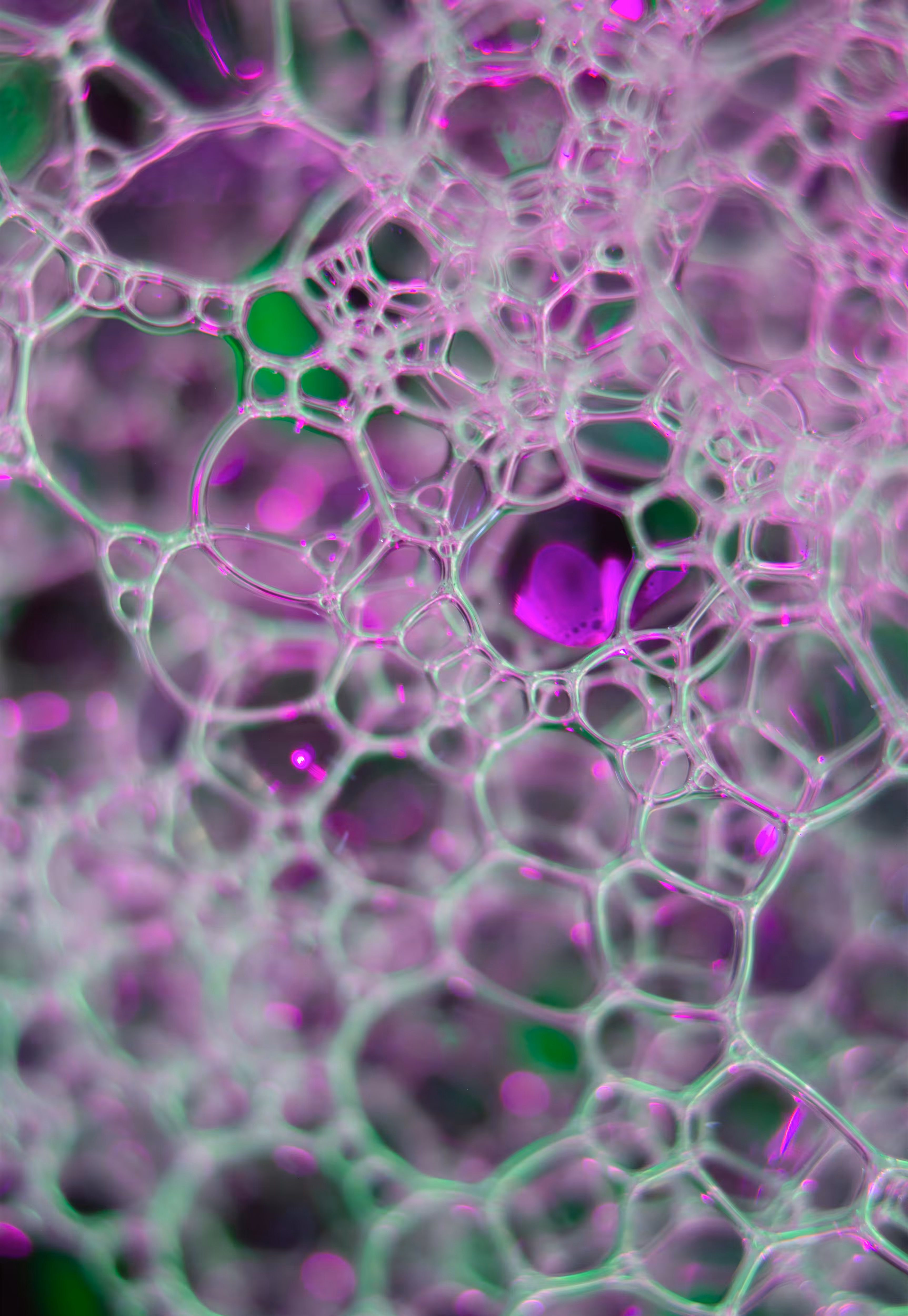 Abstract World of Soap Bubbles: #8 Bubbles