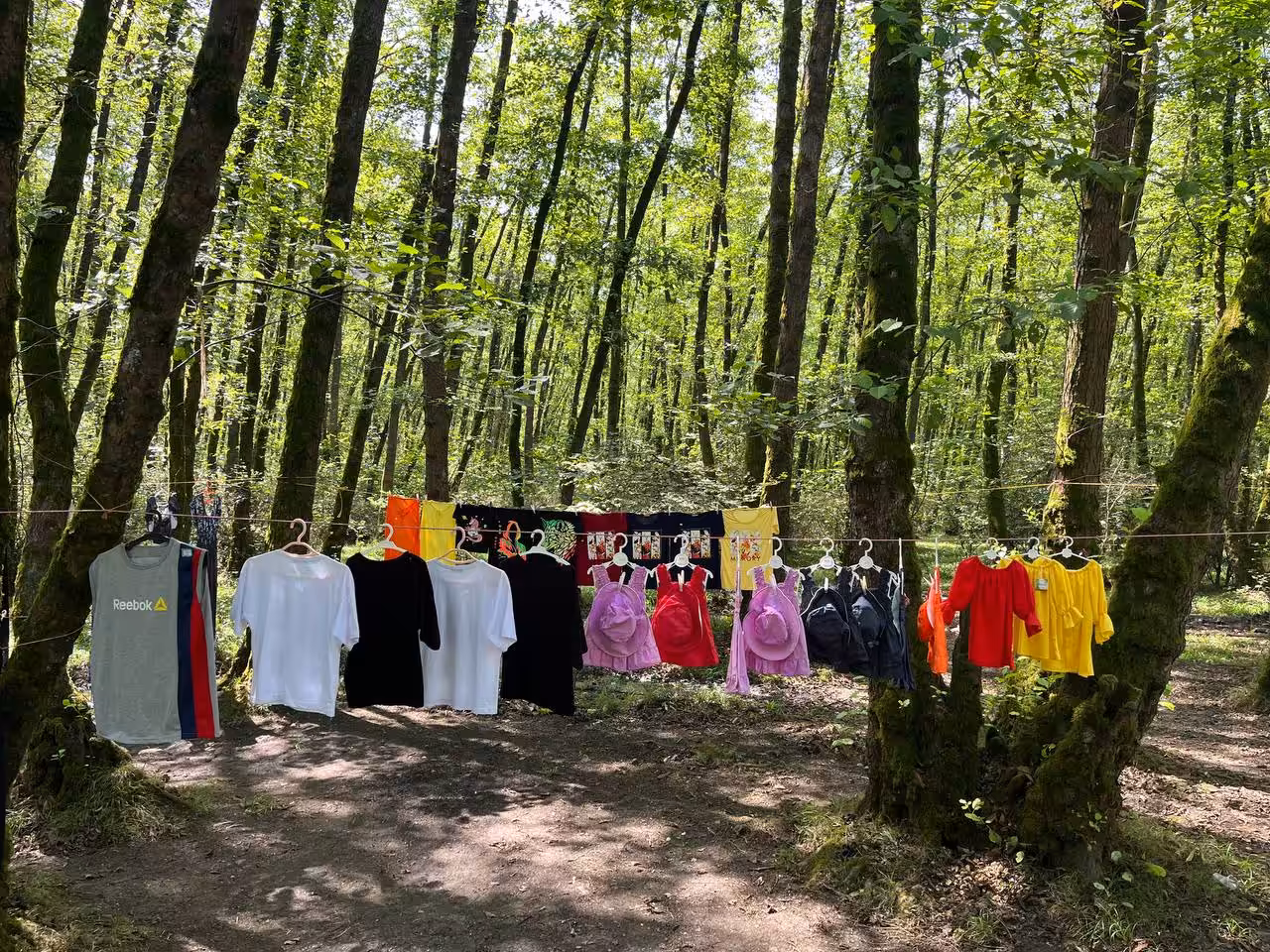 The moments: Peddling in the forest