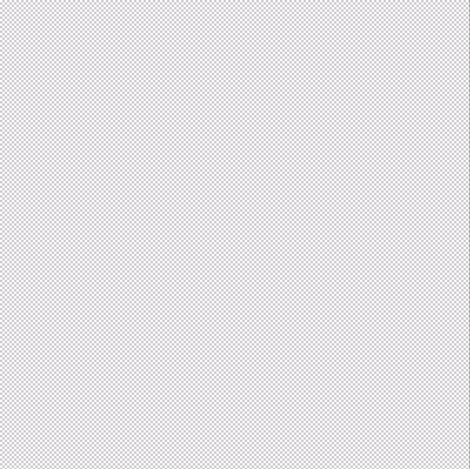 Blank Canvas
