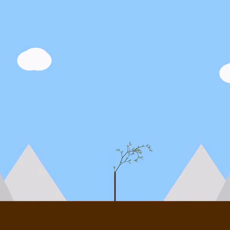 From seedling to tree #22