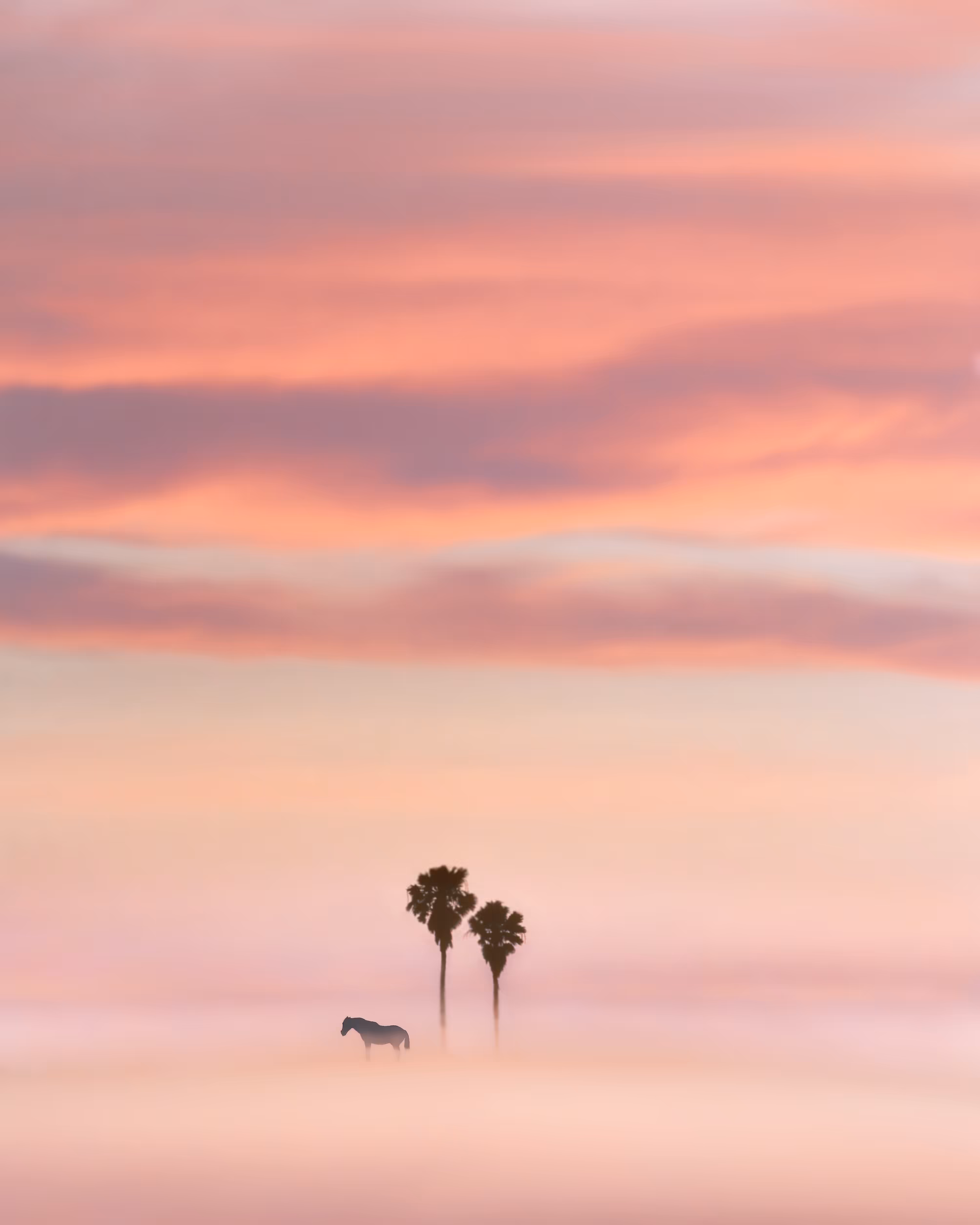 Milky Sunset