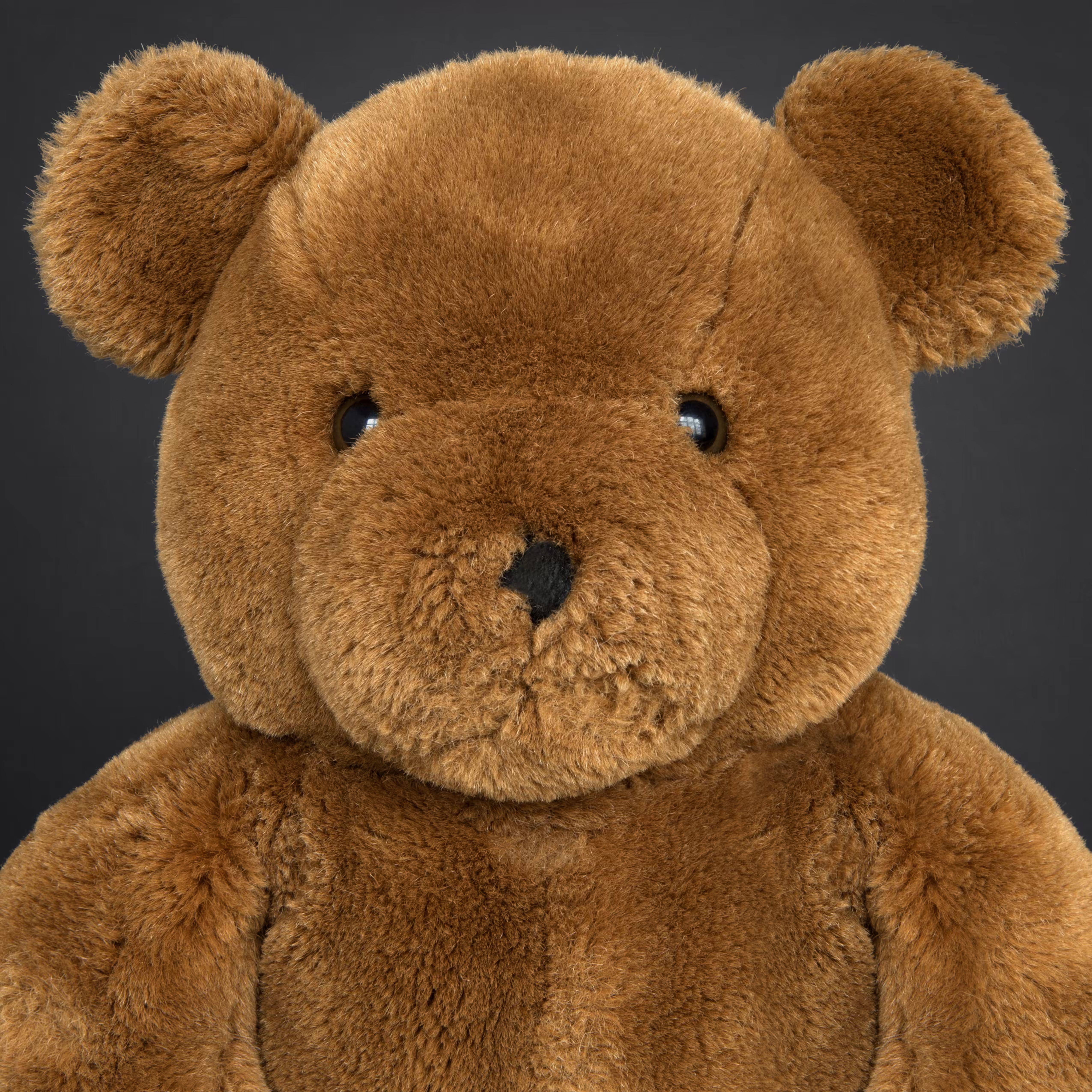 Mister Bear: The Family #008