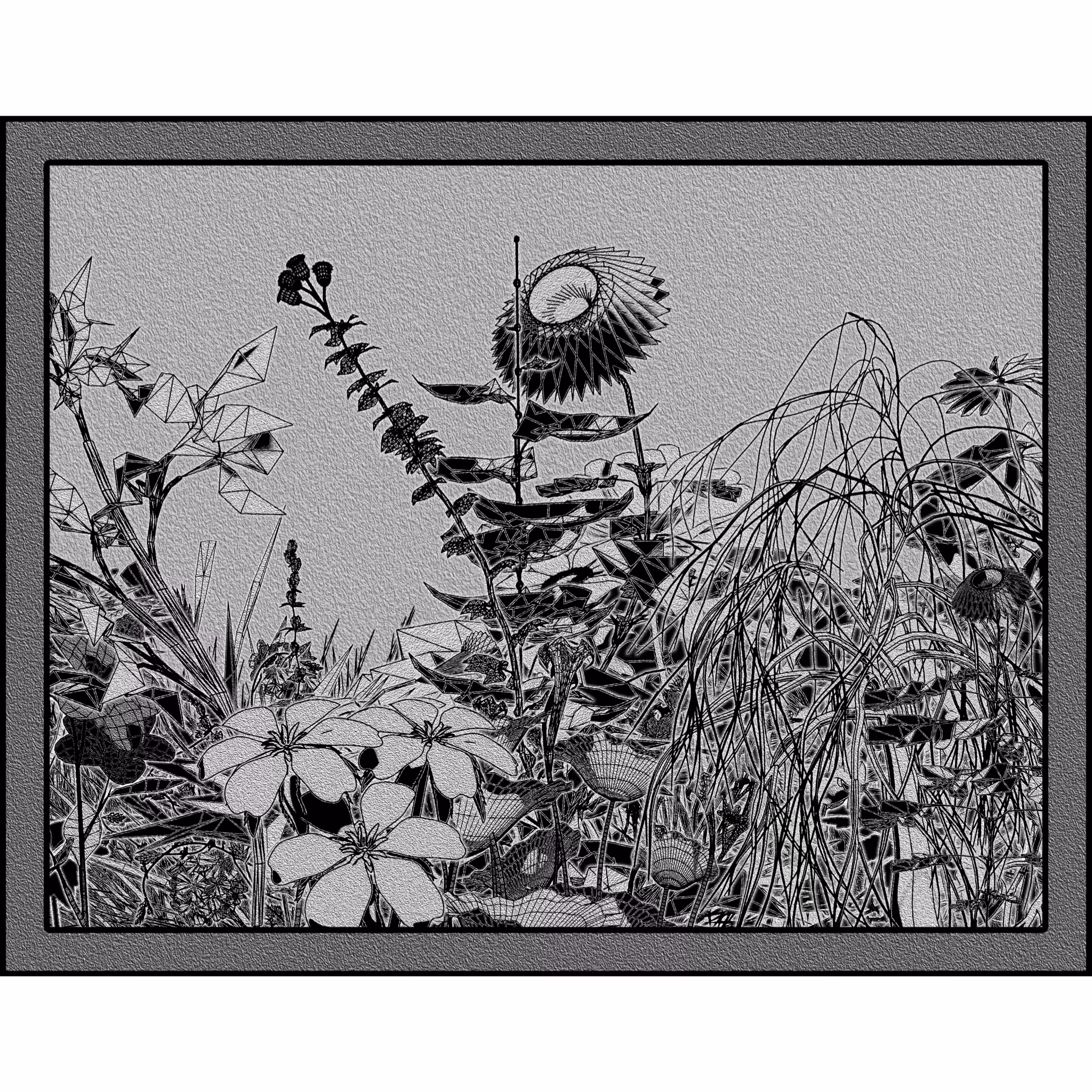 Flower View #298
