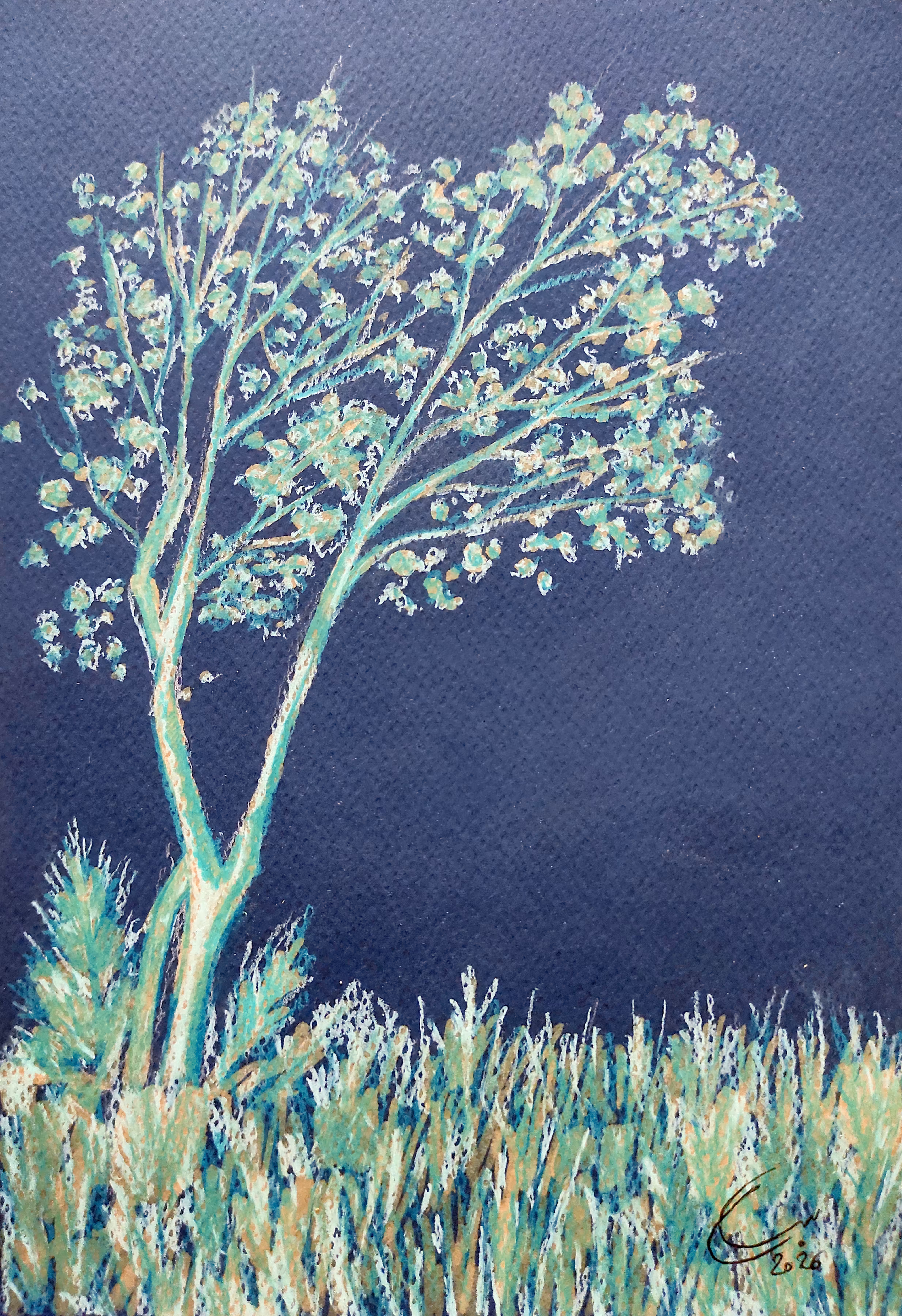 ROOTED: Turquoise Whisper