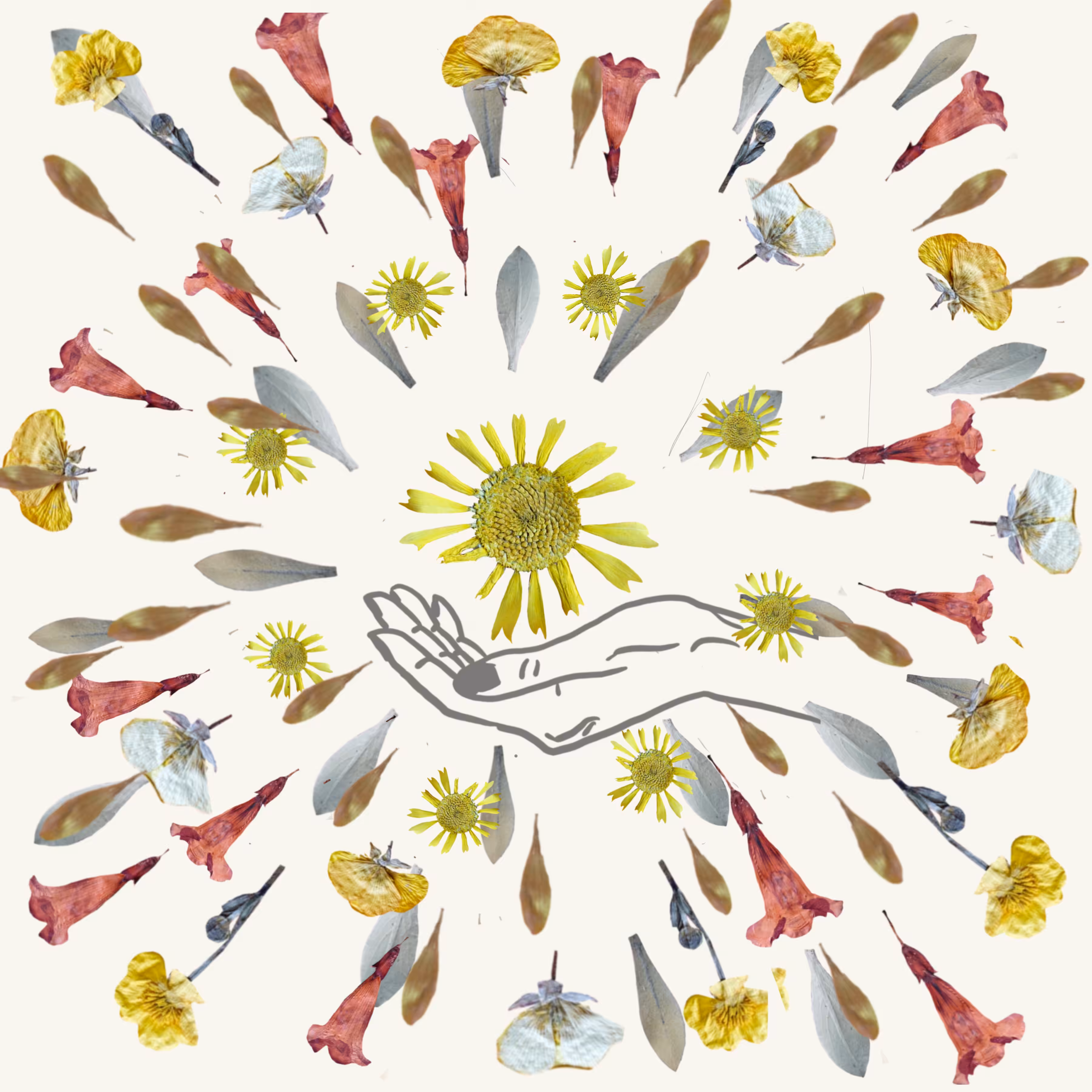 A Handful of Sun