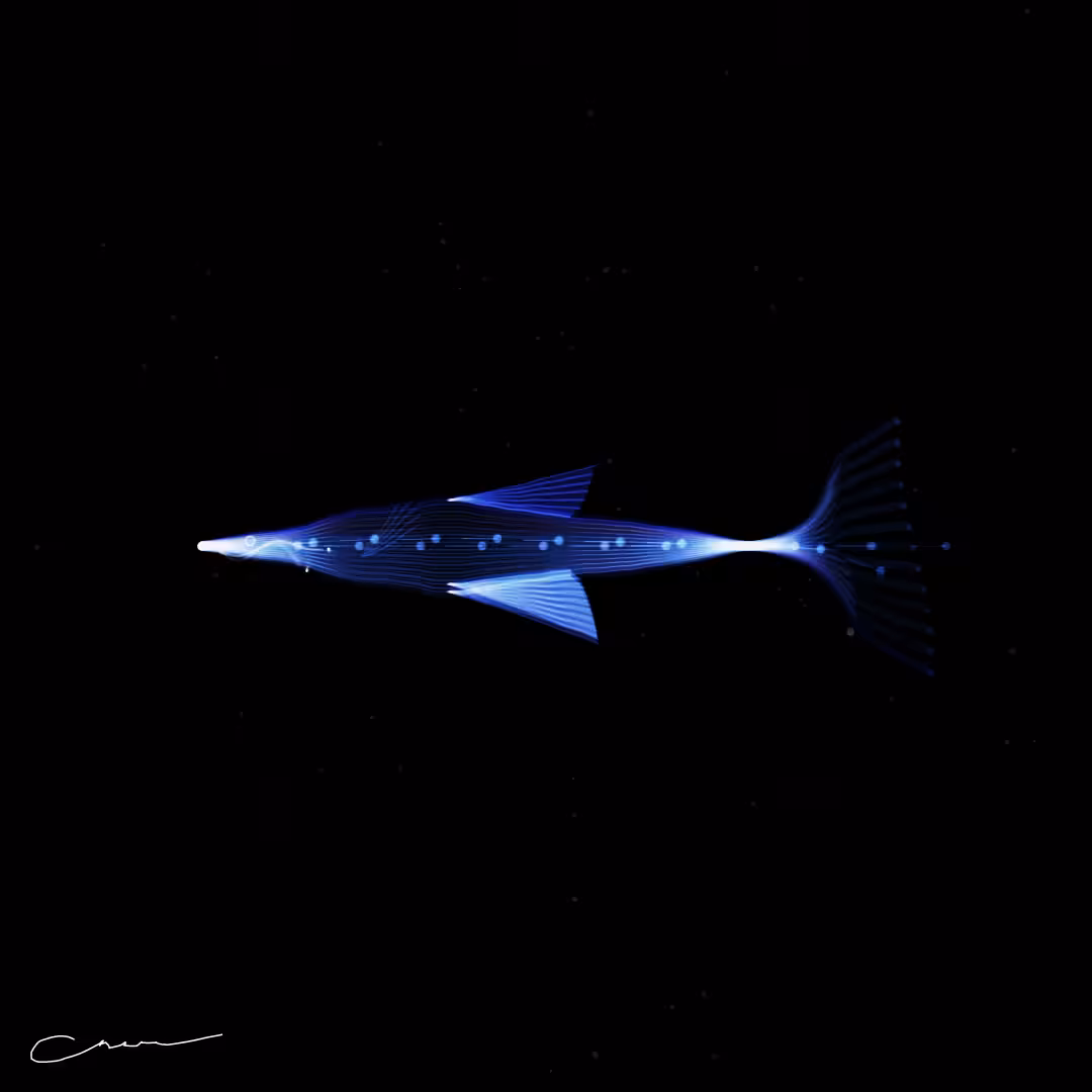 SoulFish #134