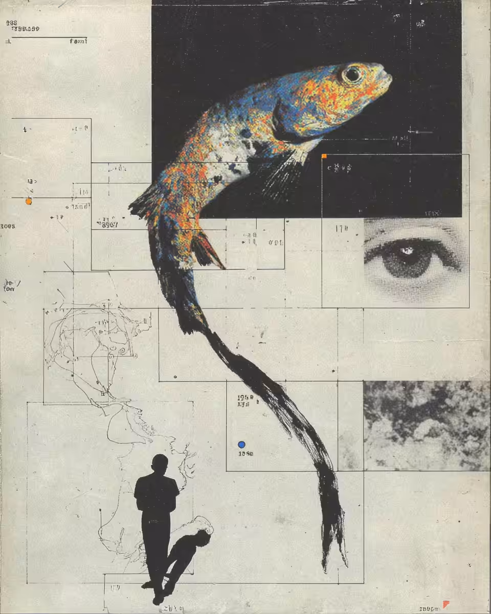 Deep Sea