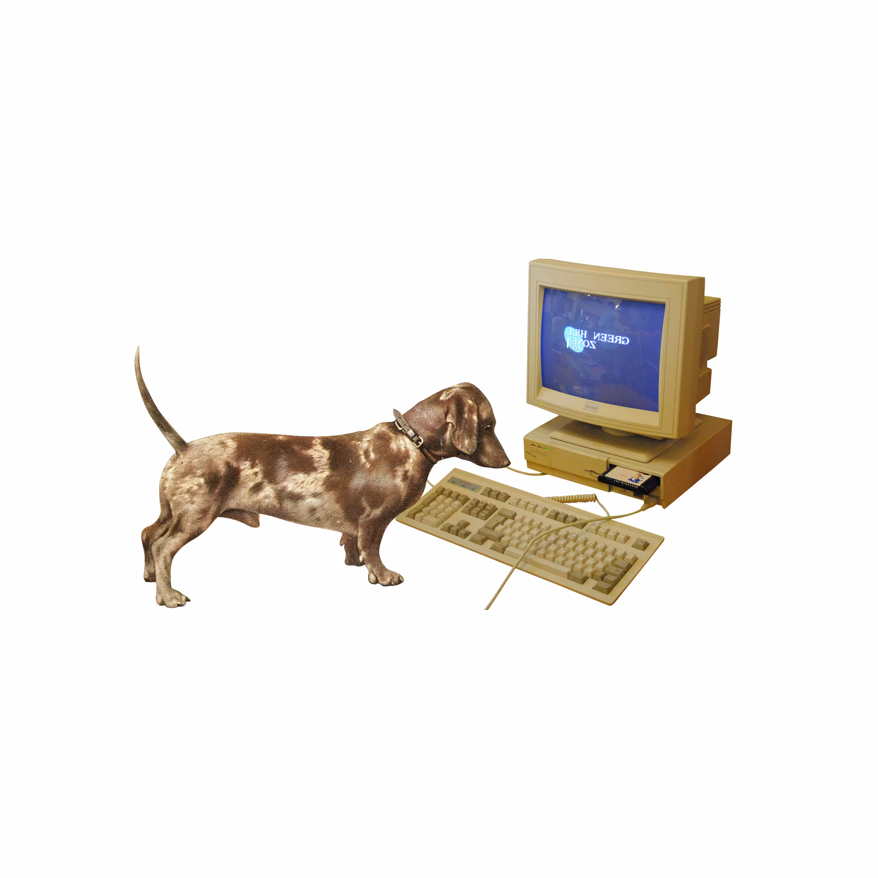 dog with a blog