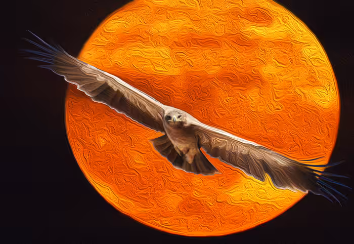 Eagle and moon#3