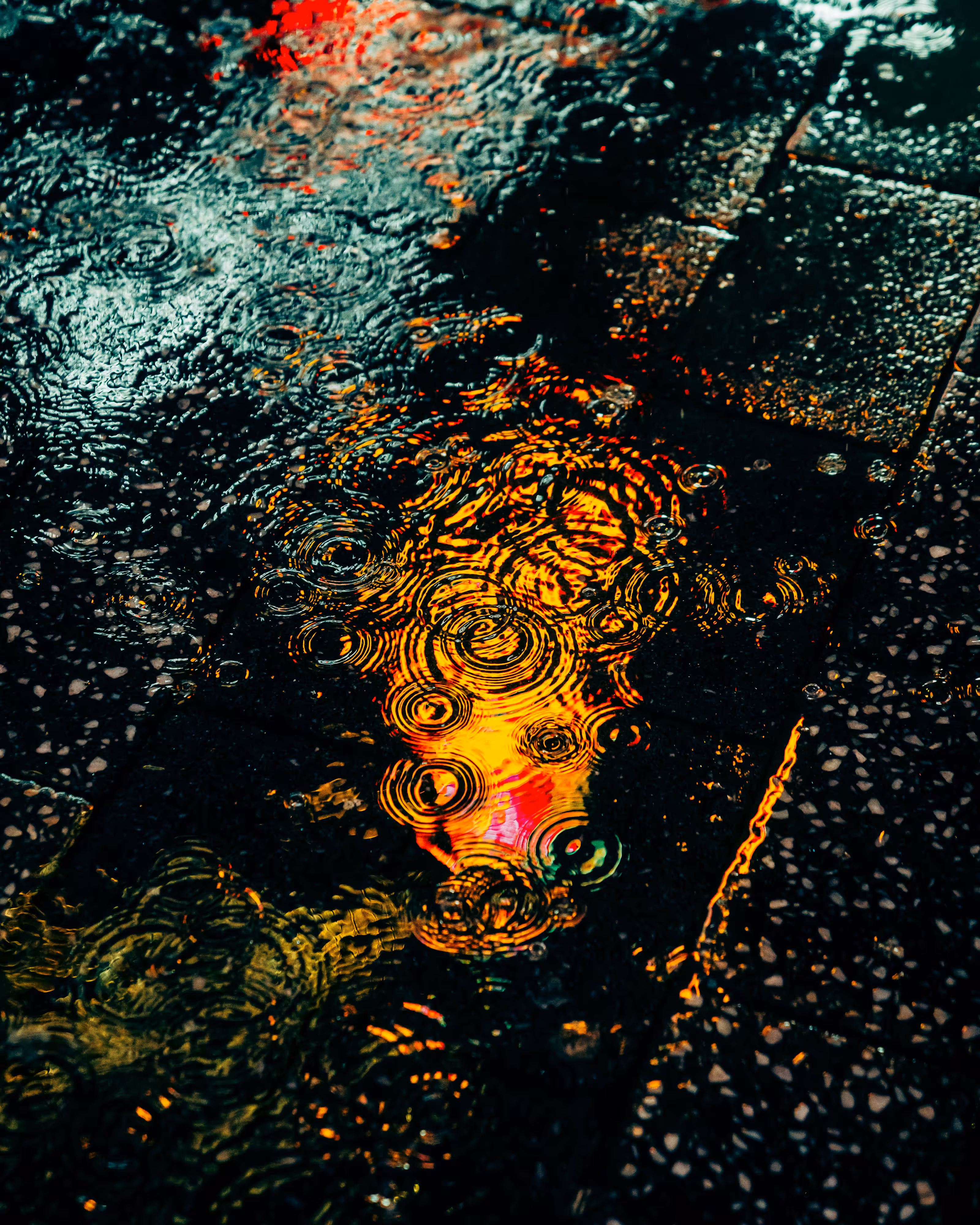 DRIP DROP: DRIP #624