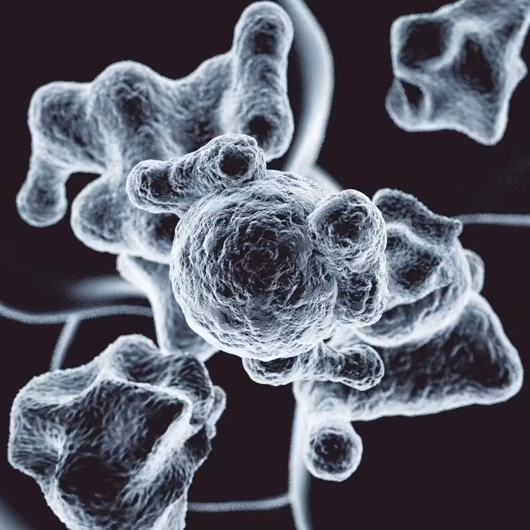 Microbe