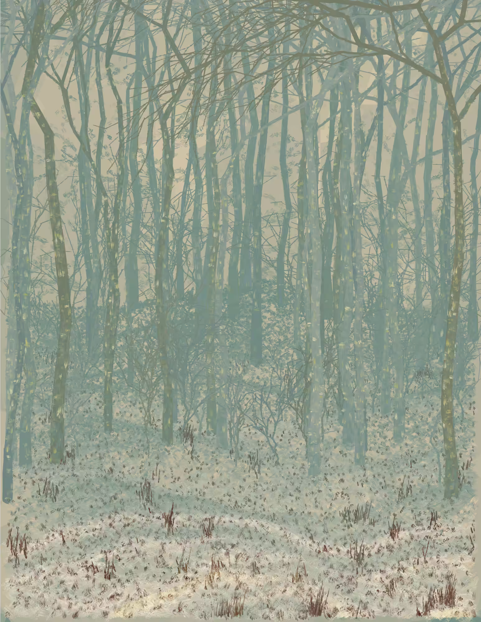 Deep Forest #97