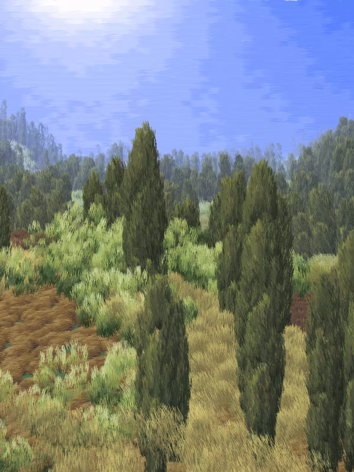 Provence #426